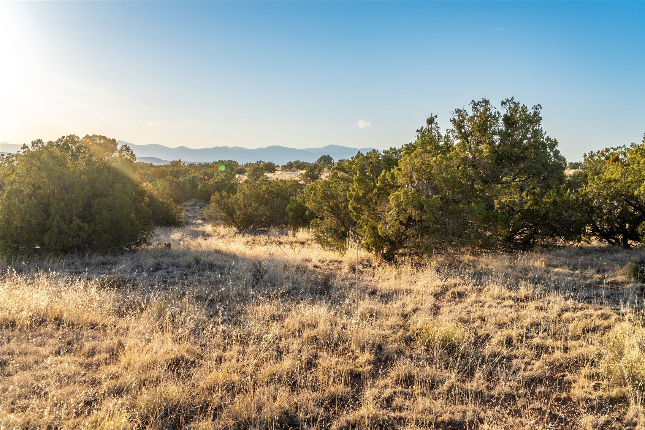 64 Chisholm Trail