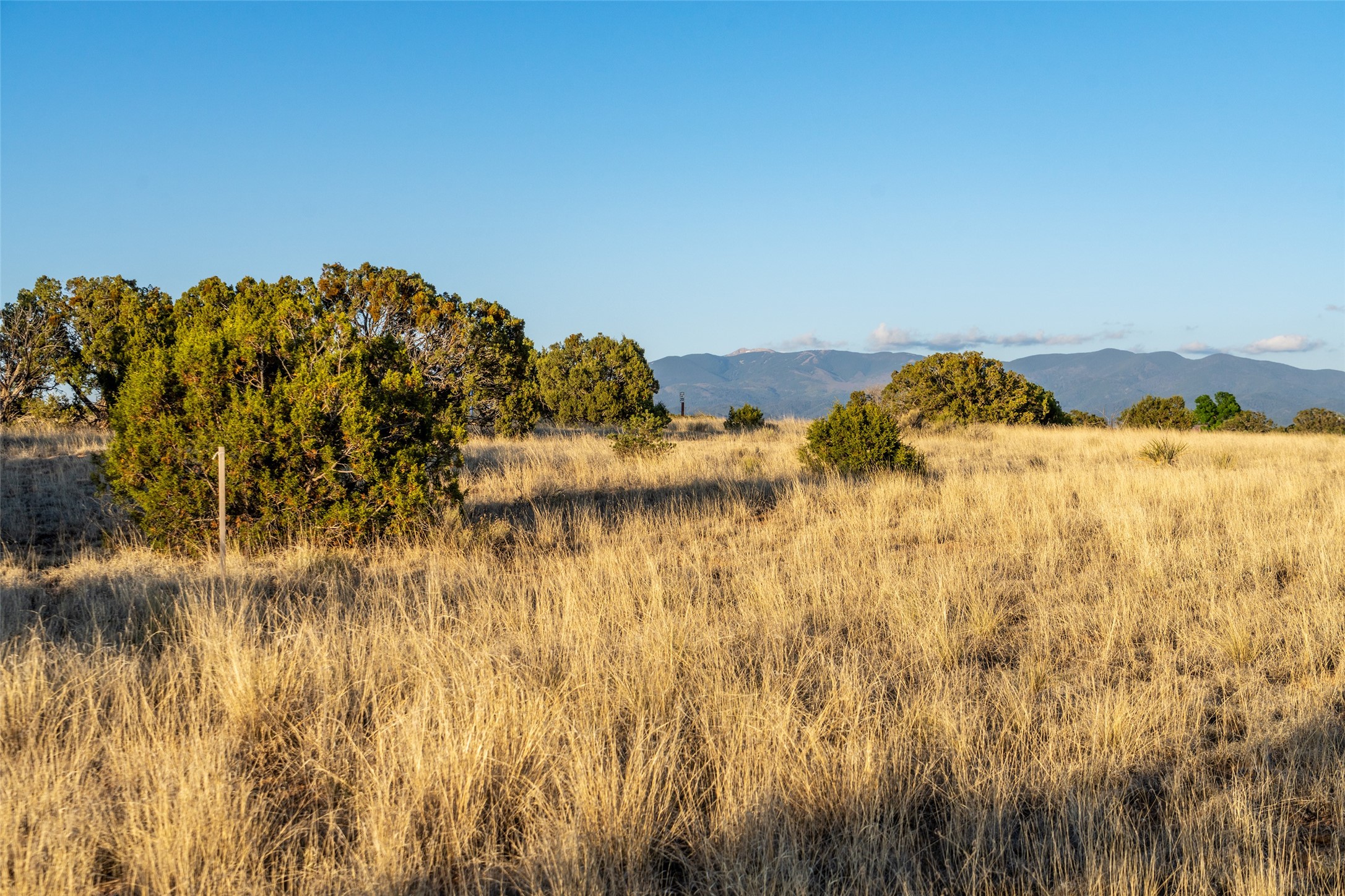 64 Chisholm Trail