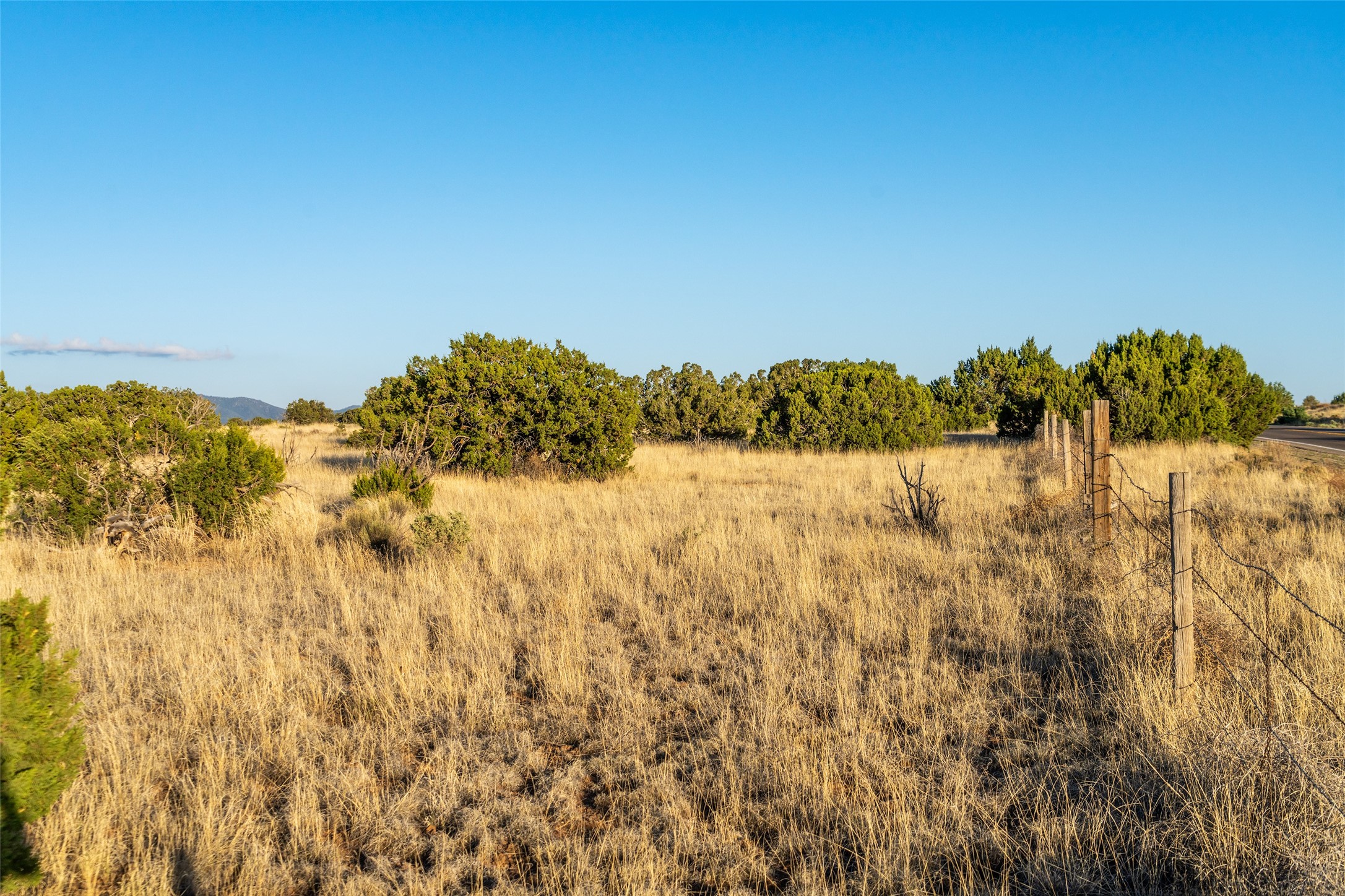 64 Chisholm Trail