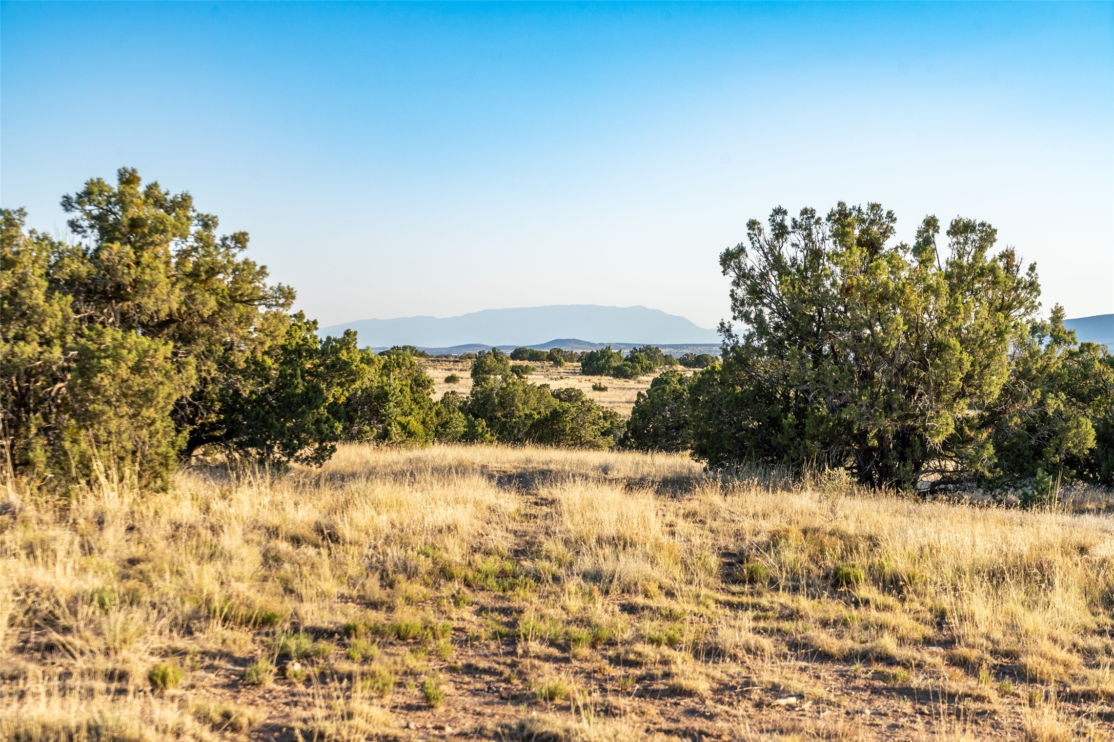 64 Chisholm Trail