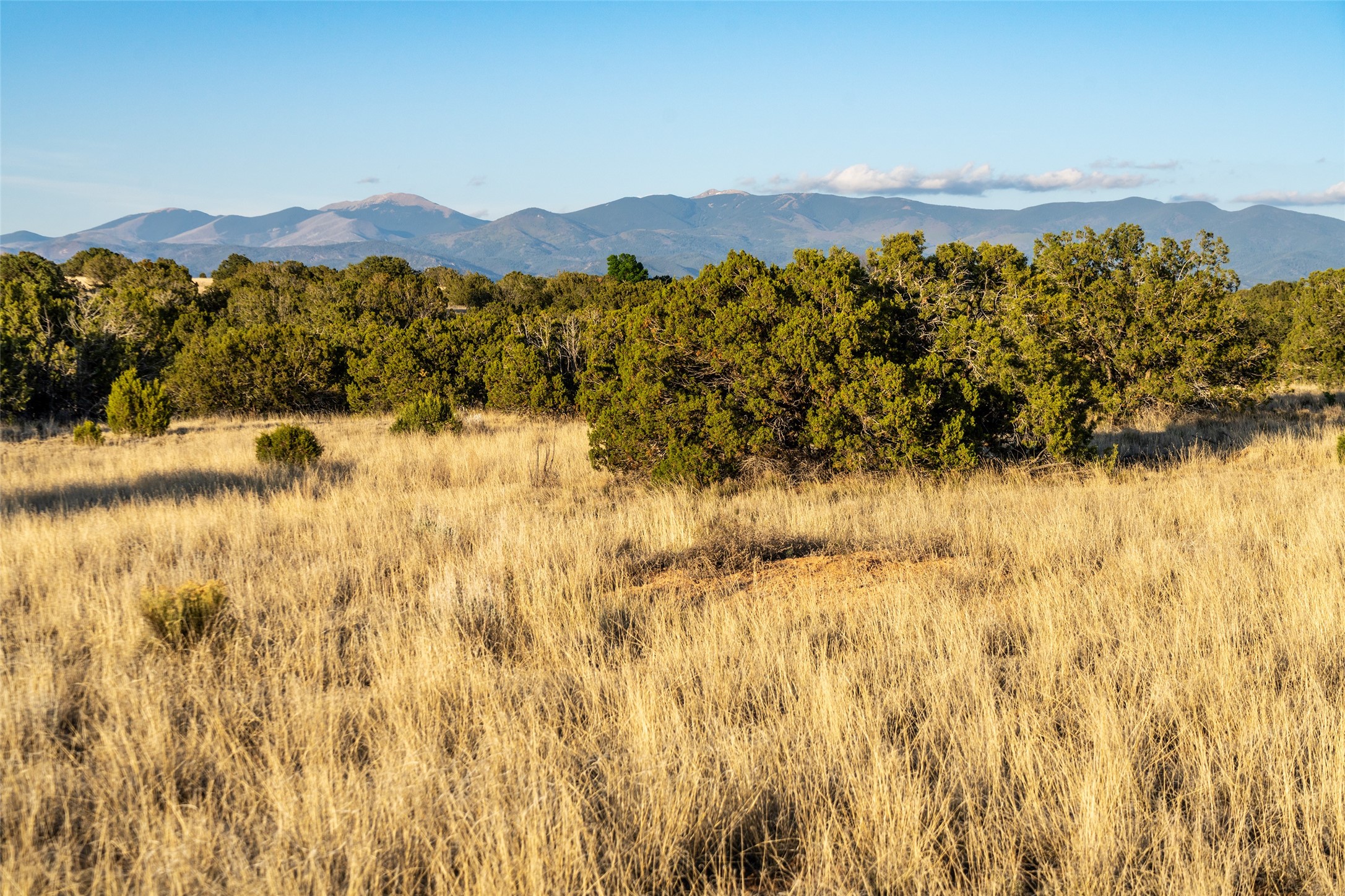 64 Chisholm Trail