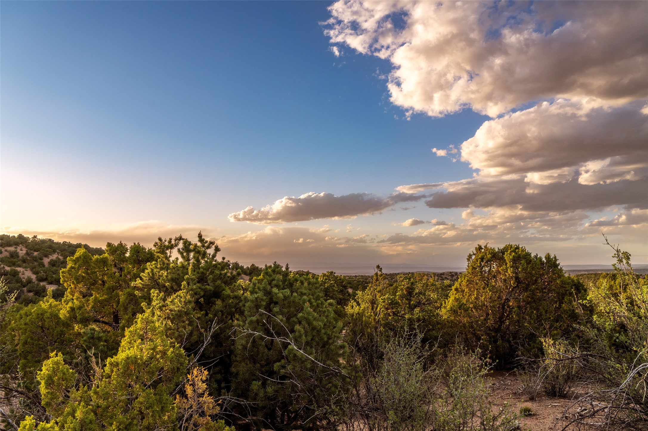 97 San Rafael Drive Lot 5