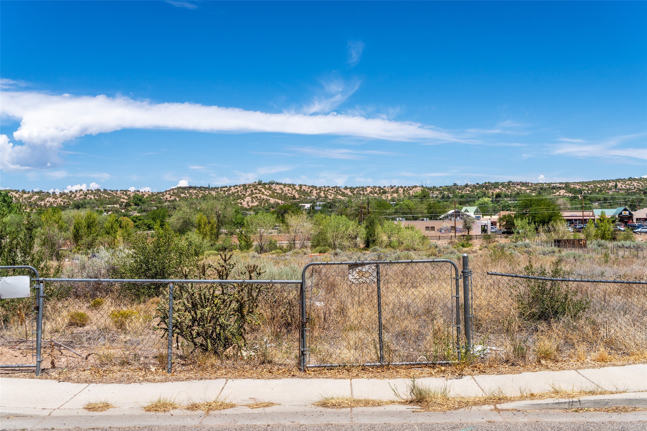 1027, 1017 Alto Street Lots 1 & 2