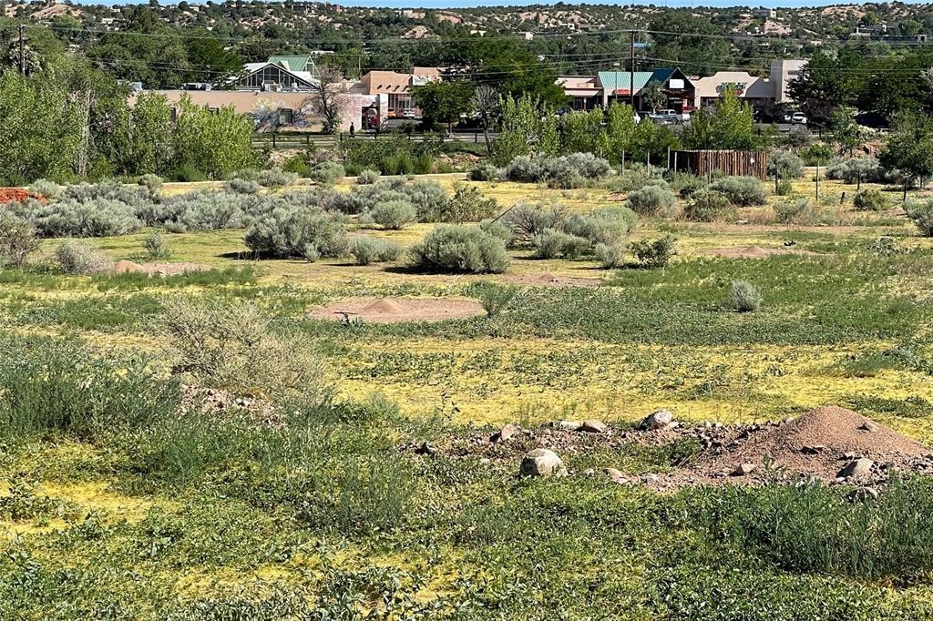 1027, 1017 Alto Street Lots 1 & 2