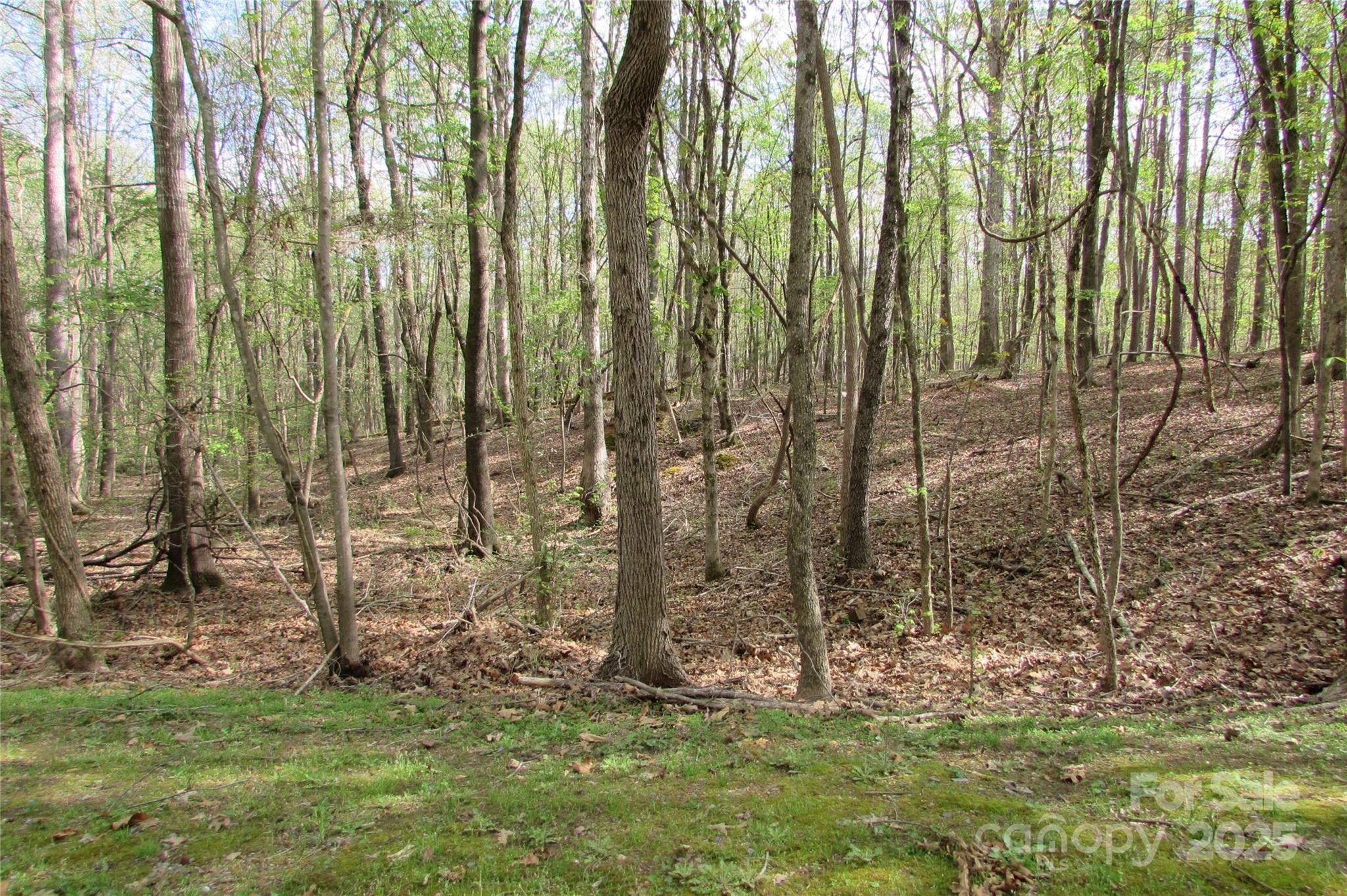 0 Hickory Nut Circle