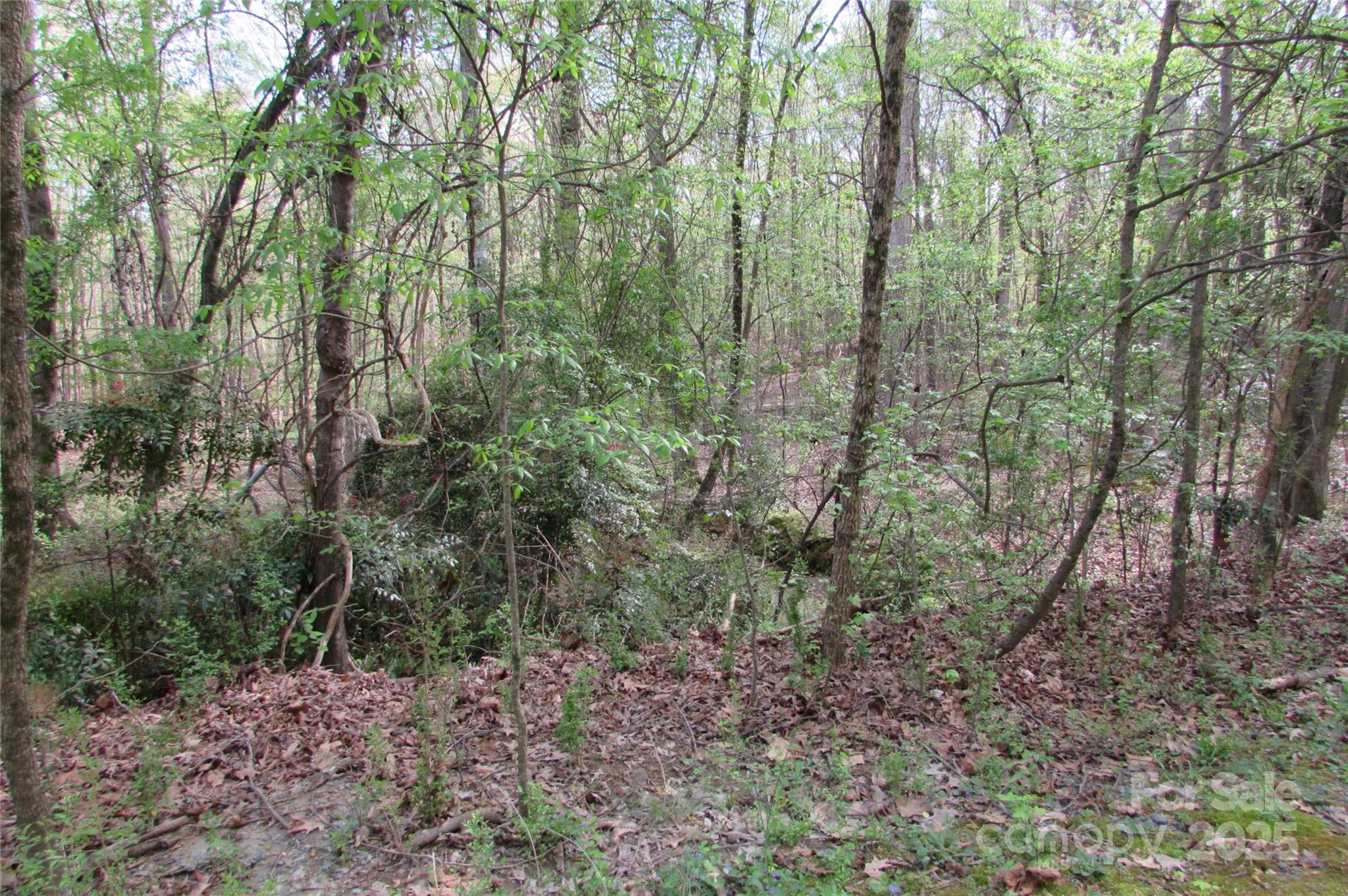 0 Hickory Nut Circle