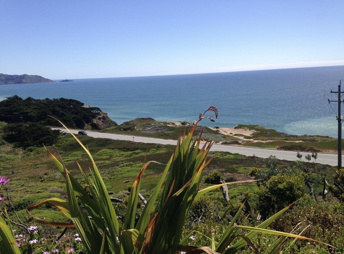 5017 Palmetto AVE 65