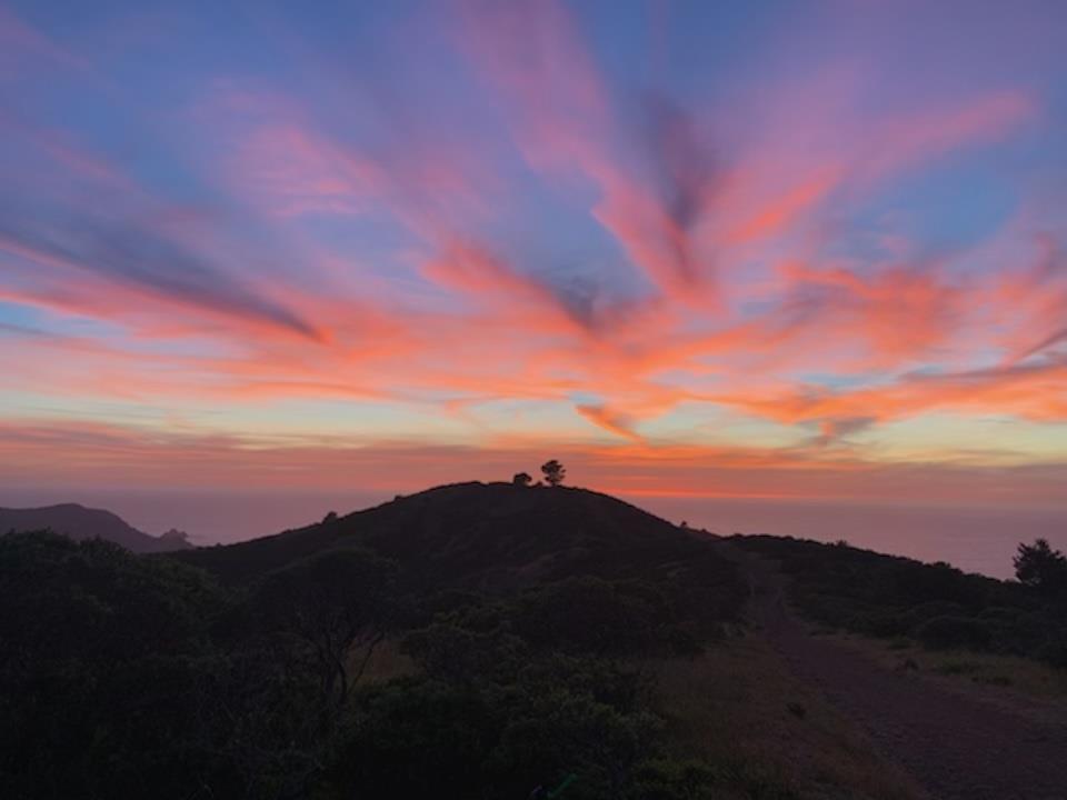 5017 Palmetto AVE 65