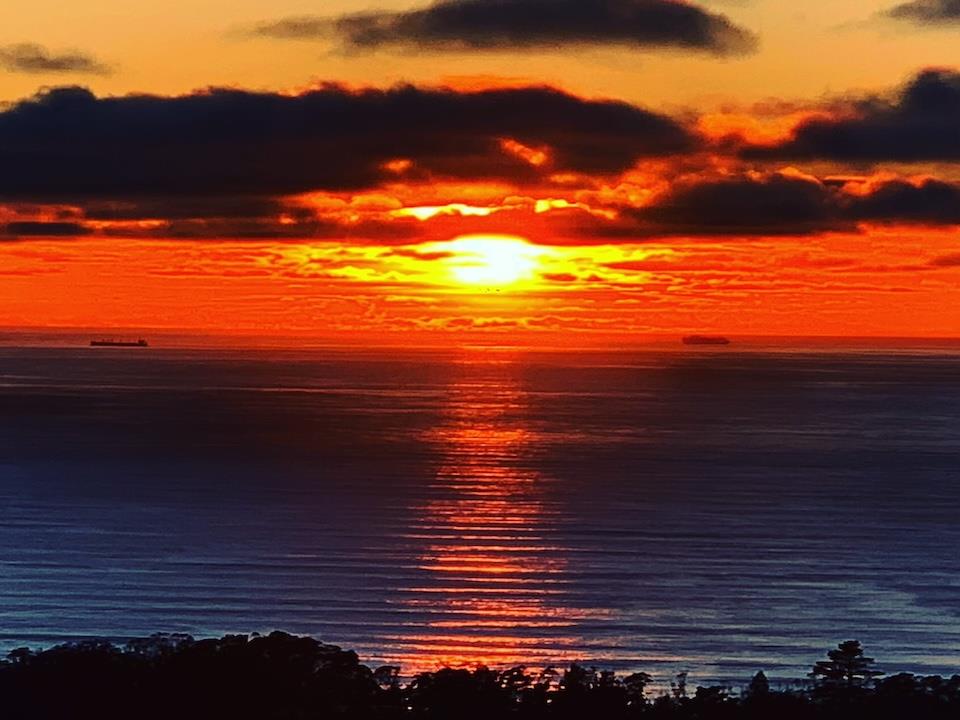 5017 Palmetto AVE 65