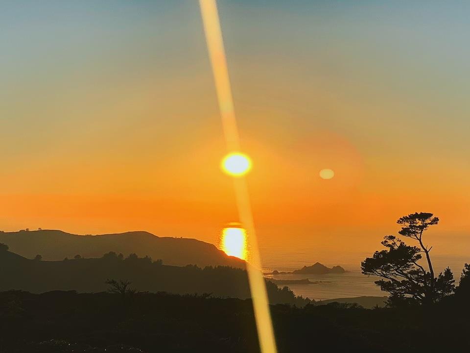 5017 Palmetto AVE 65