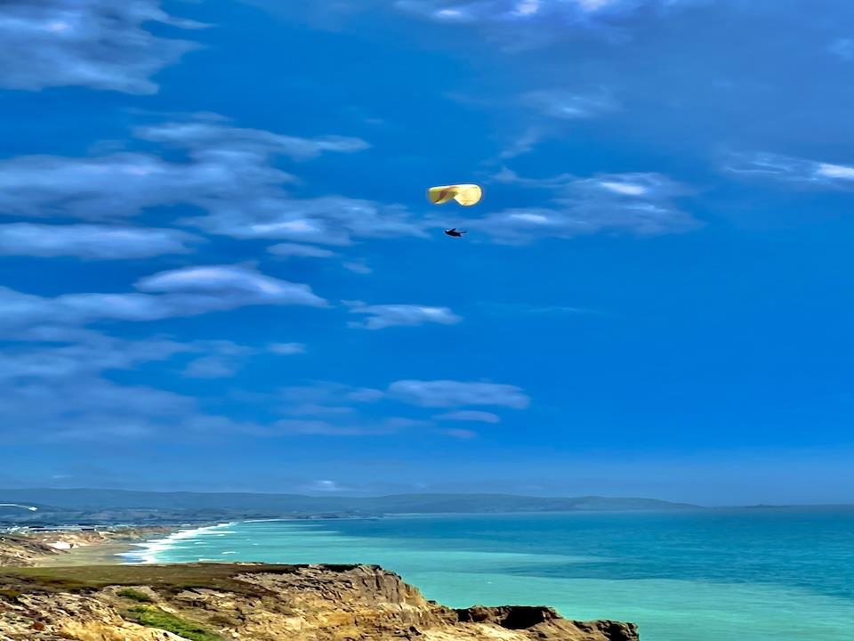 5017 Palmetto AVE 65