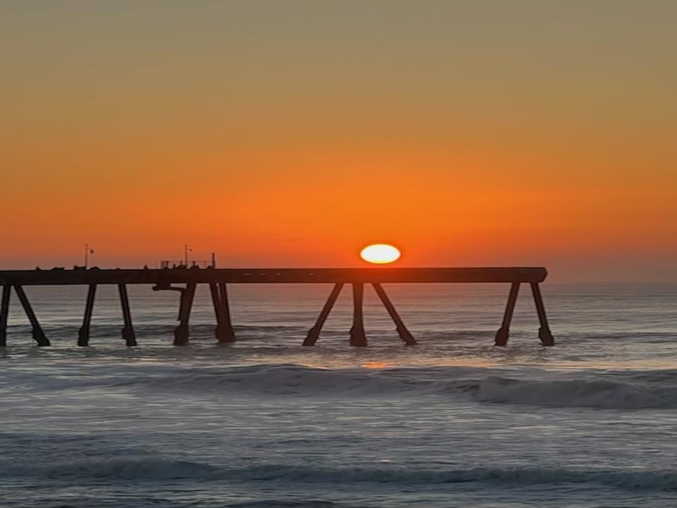 5017 Palmetto AVE 65