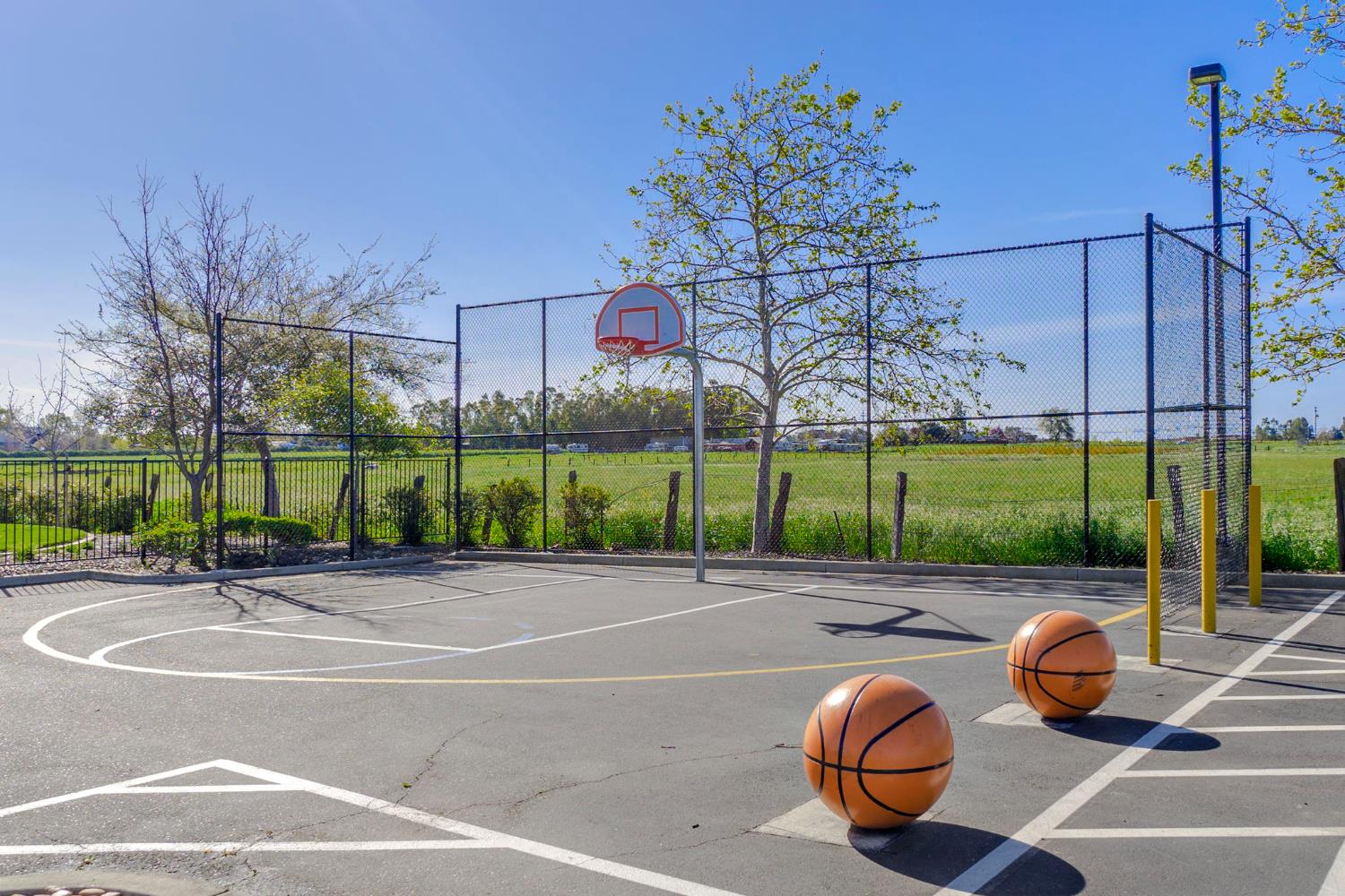 34070 Canvas Back Street