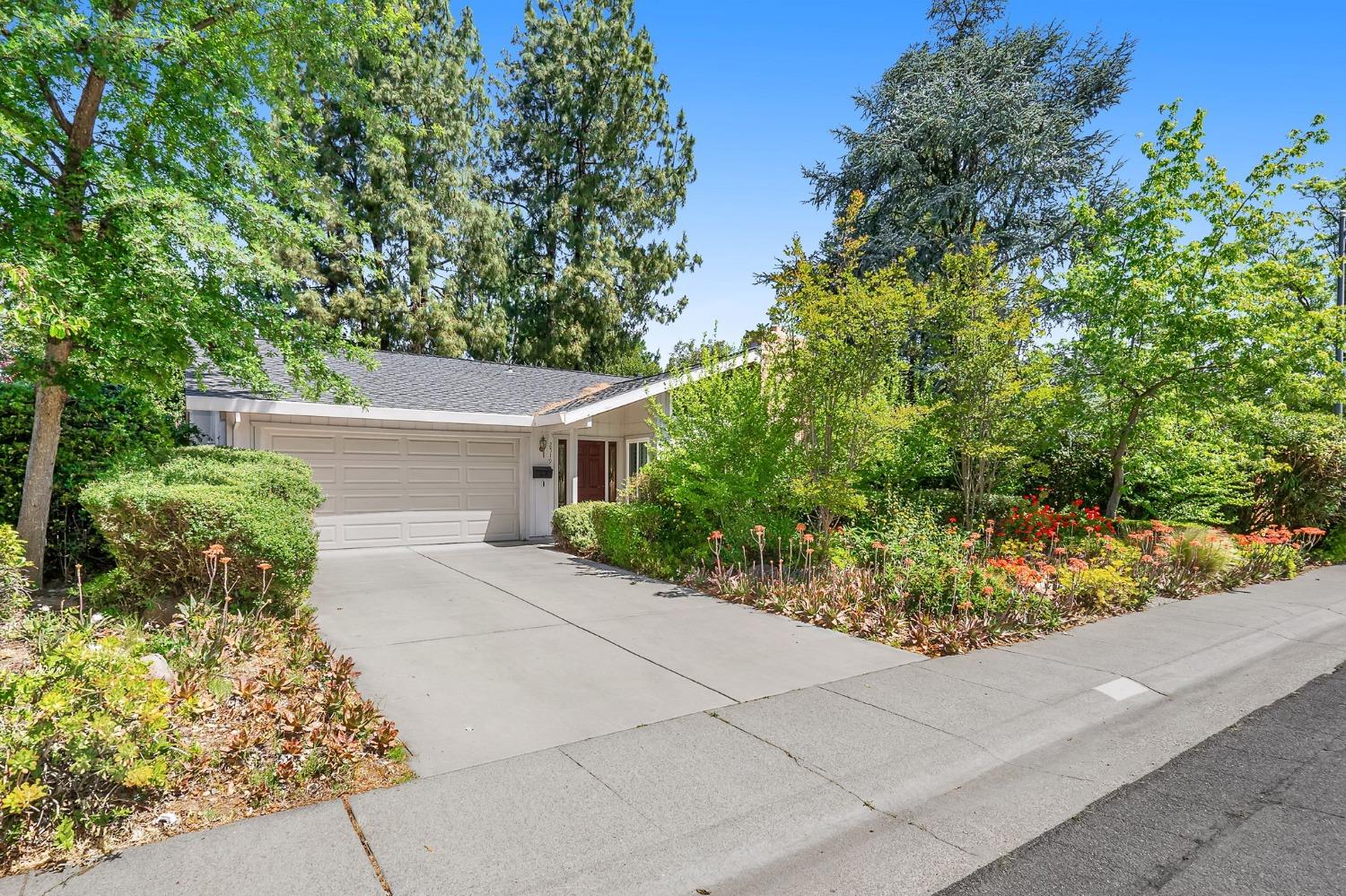2519 Corona Drive