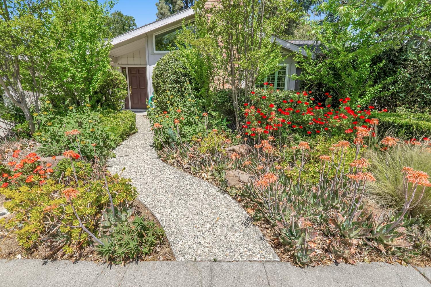 2519 Corona Drive