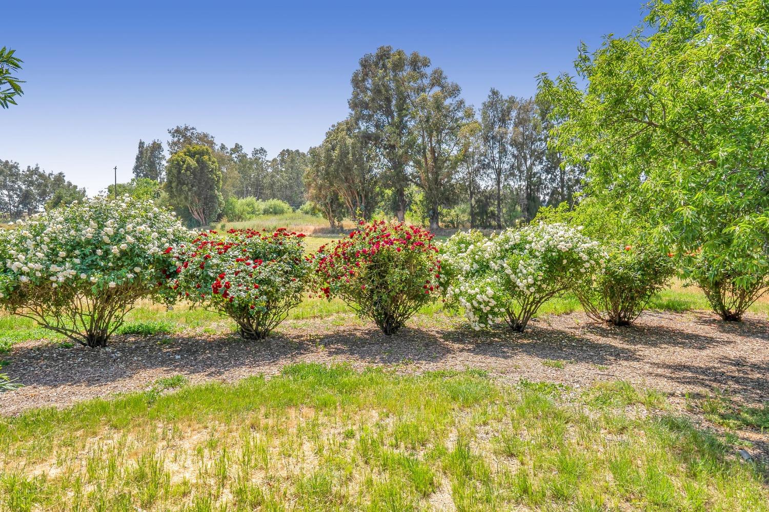 34718 Corcoran Hill Lane