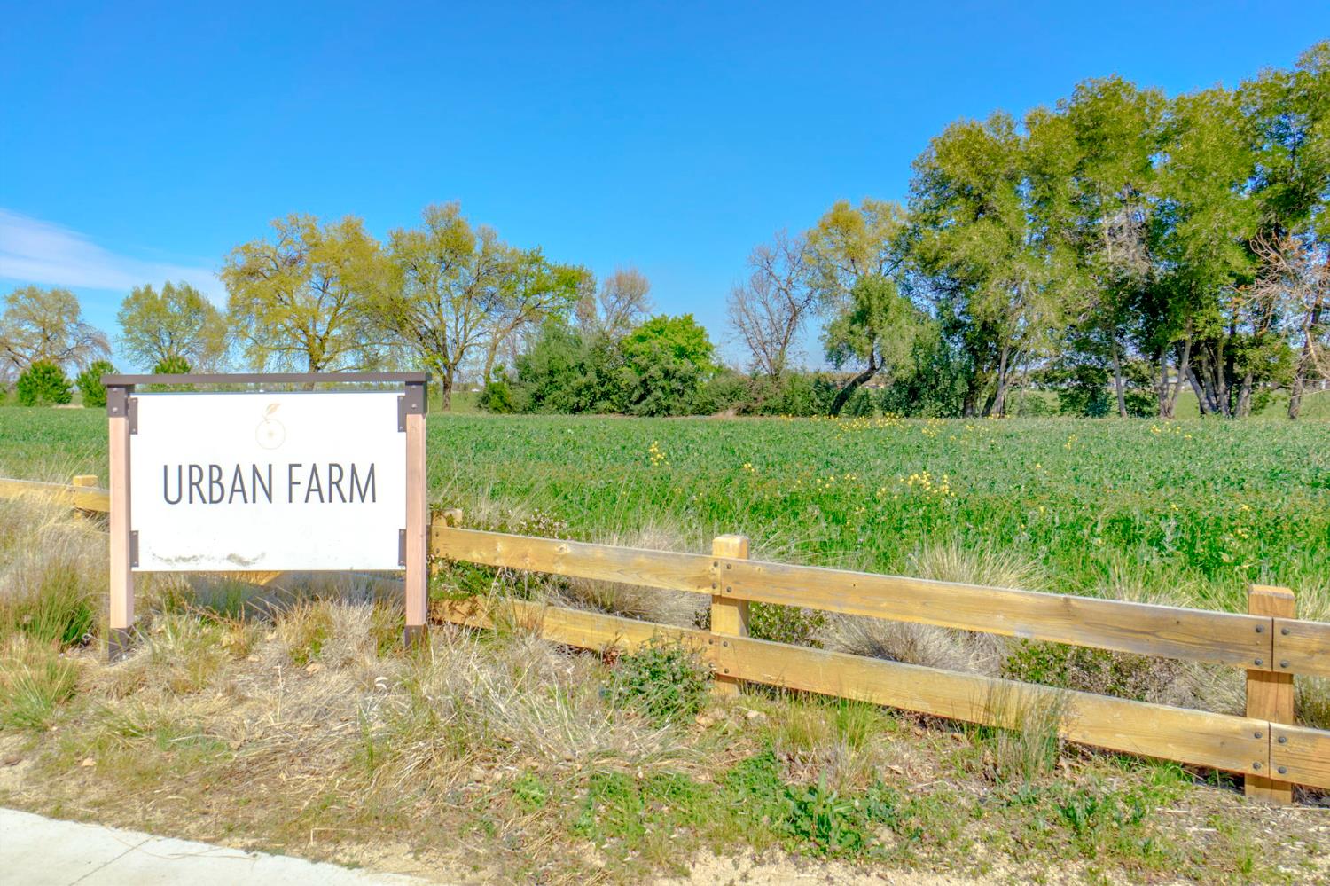 1000 Berryessa Lane 225