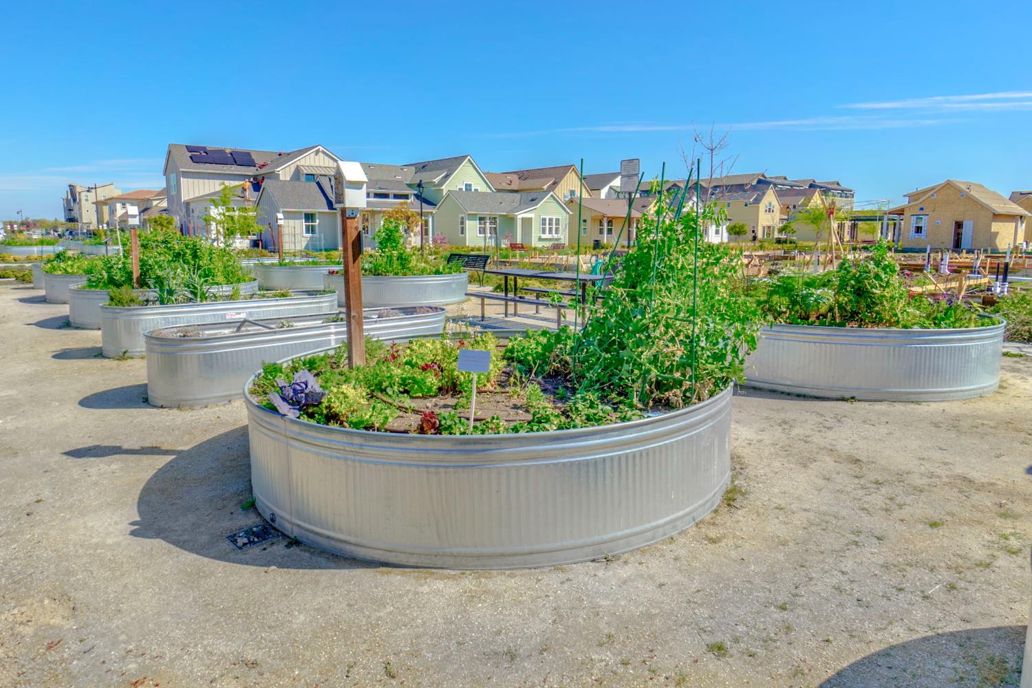 1000 Berryessa Lane 225