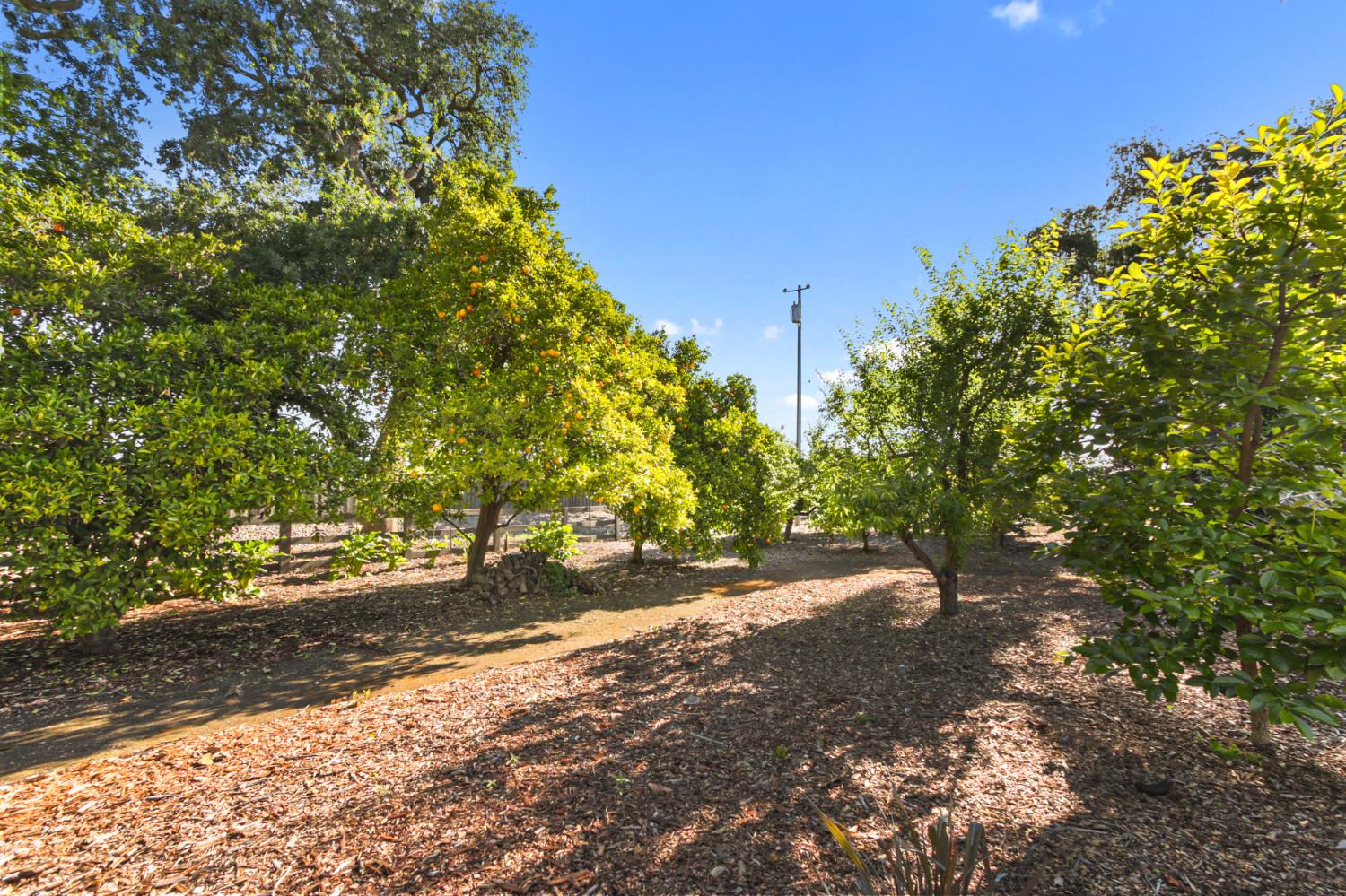 38385 Larue Way