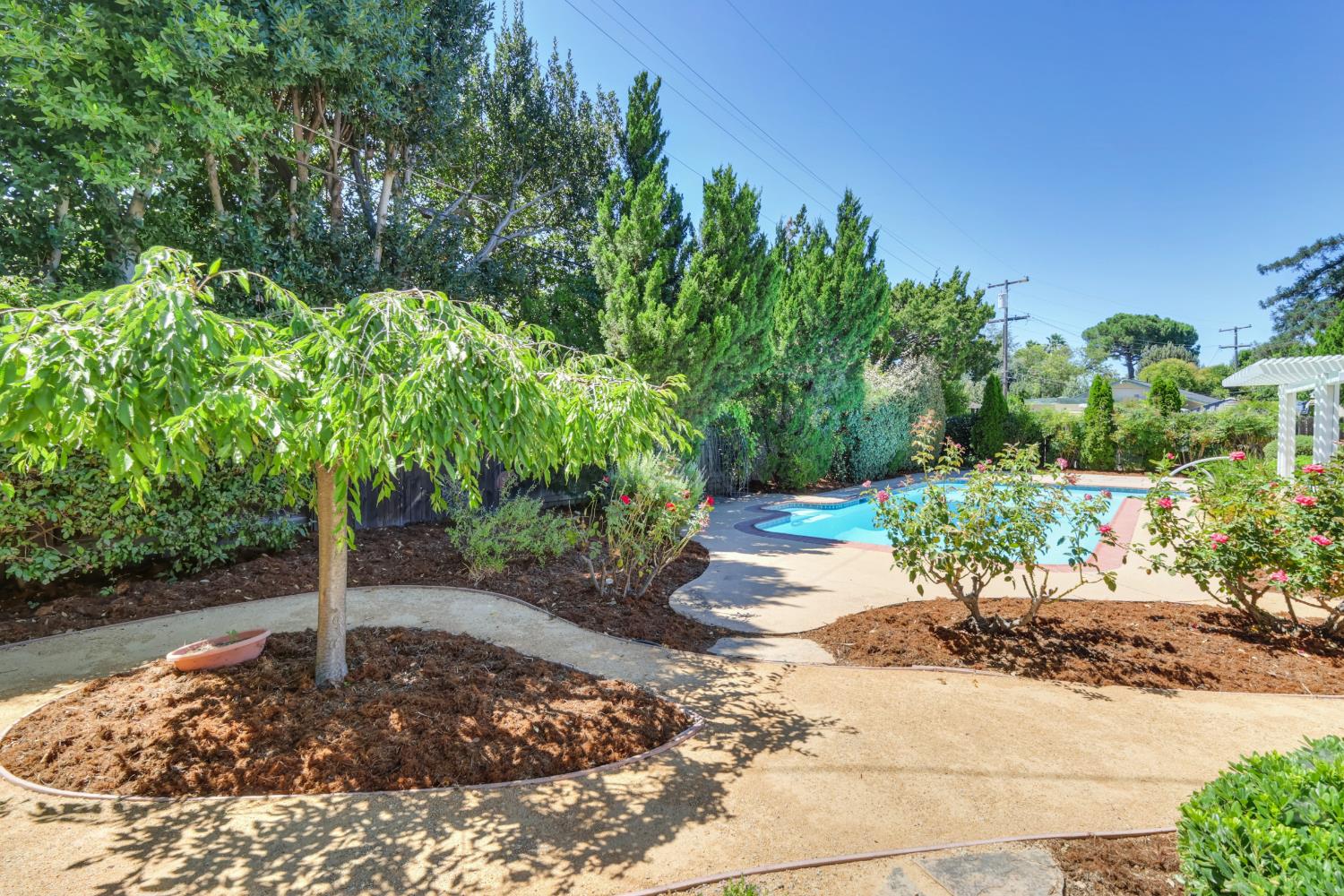 819 Sycamore Lane