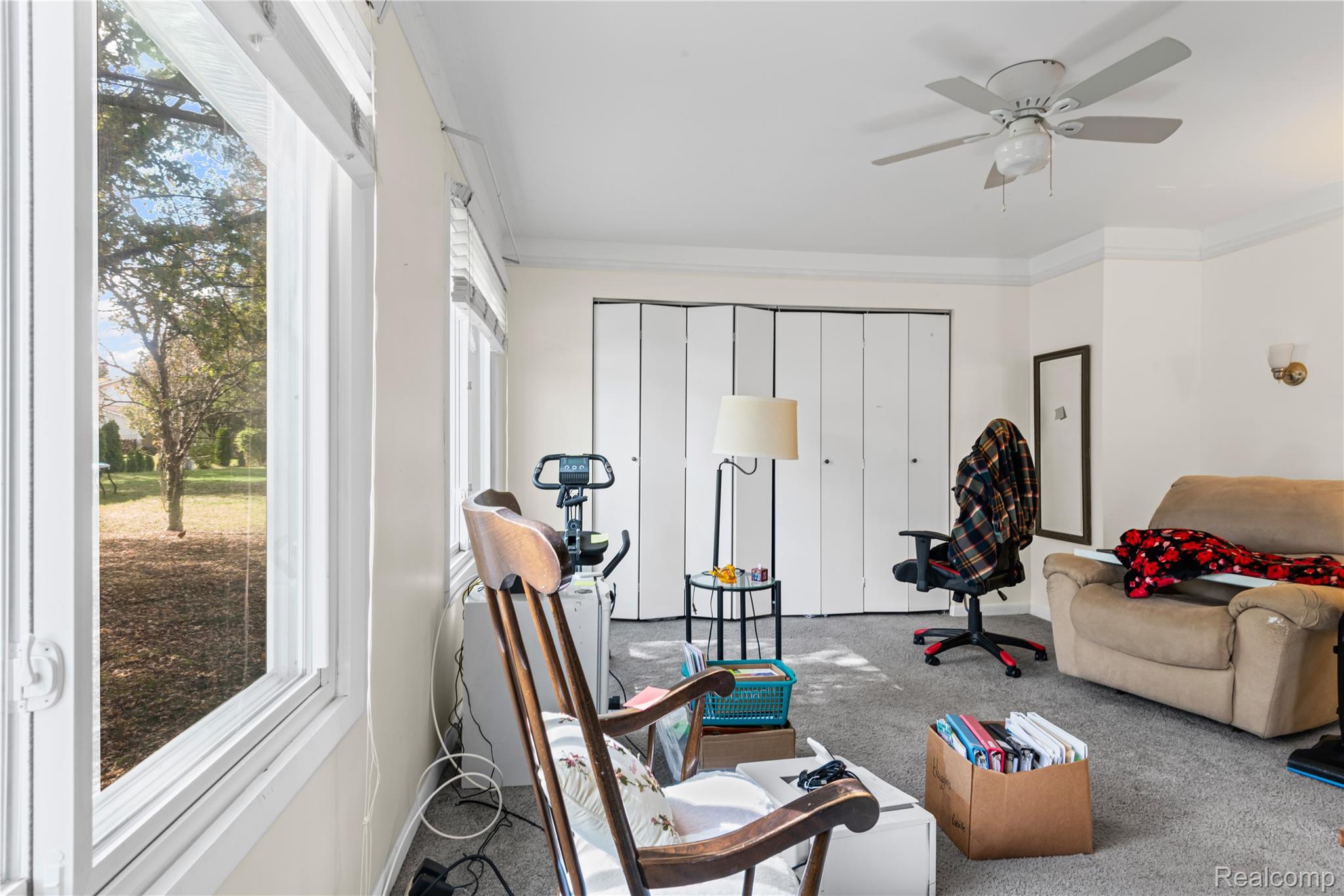 40209 Oak Tree
