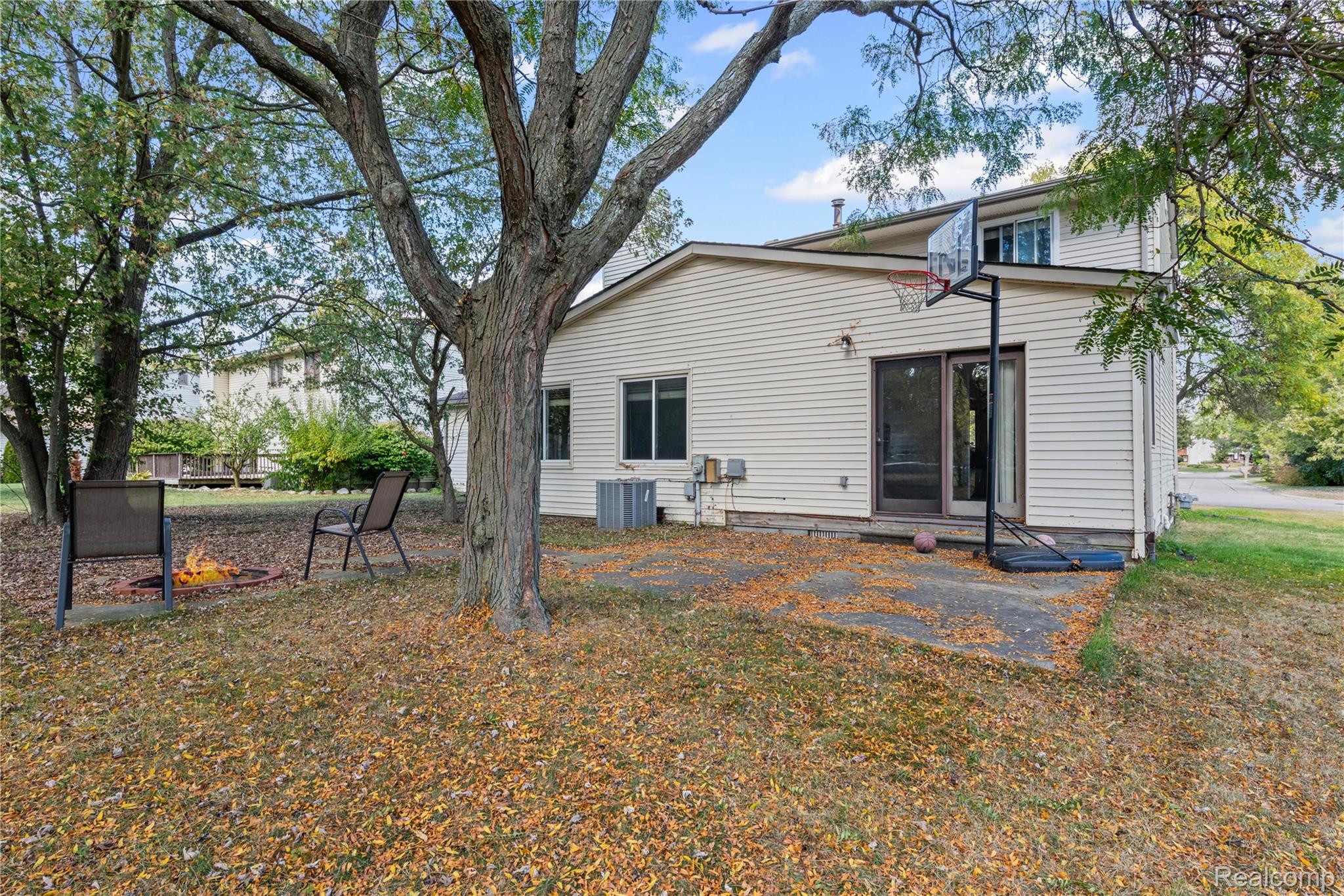40209 Oak Tree