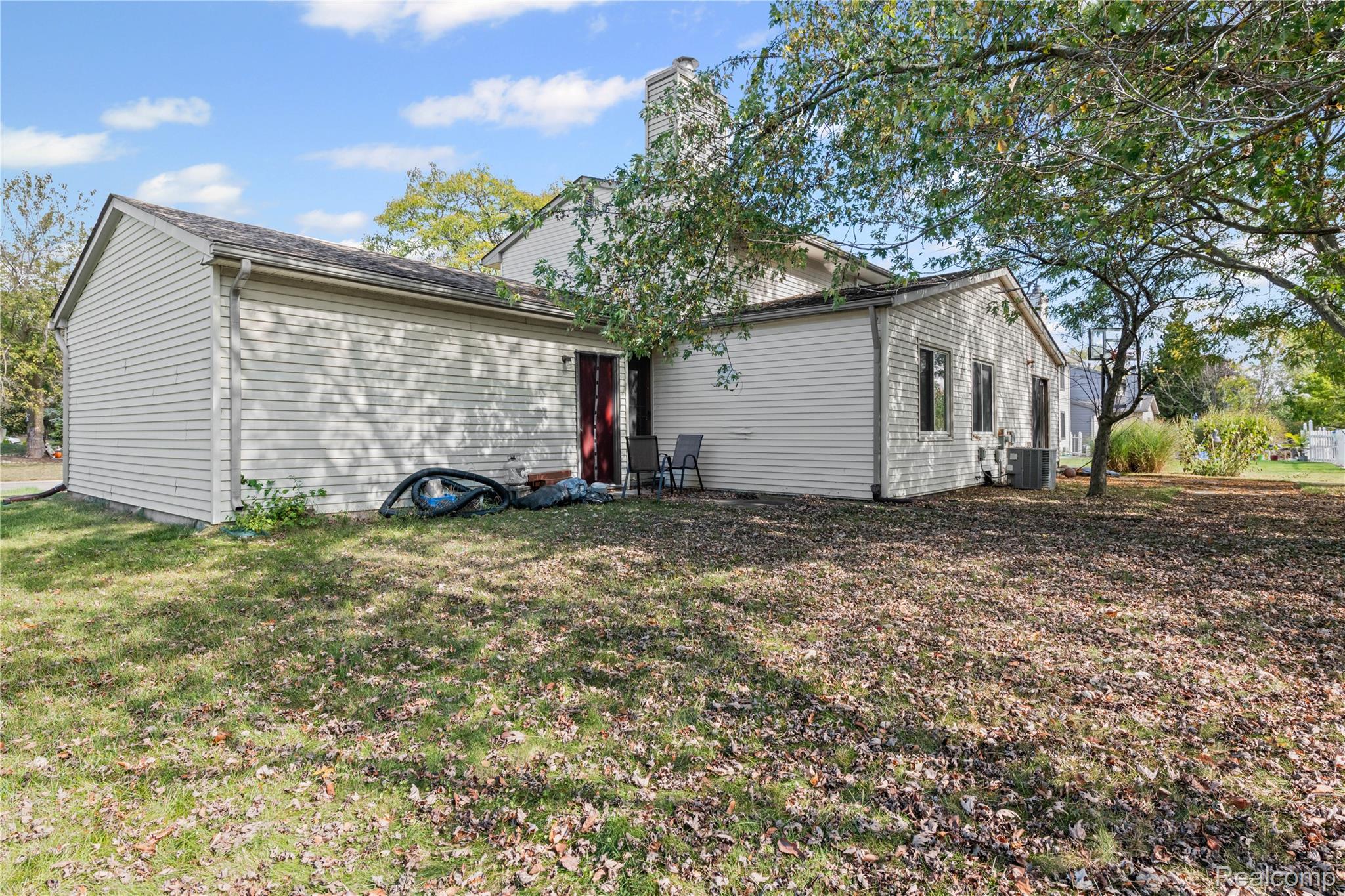 40209 Oak Tree