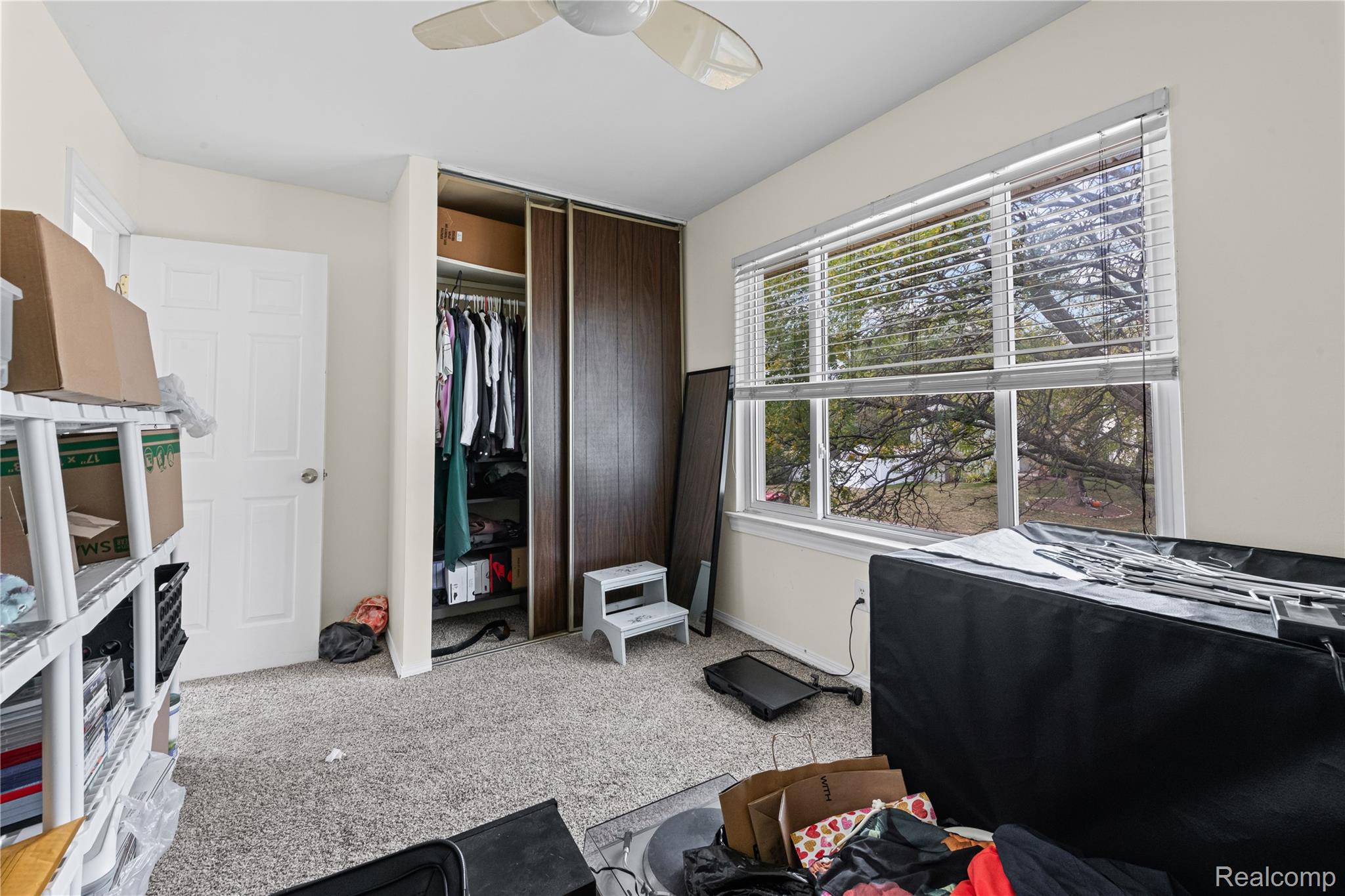 40209 Oak Tree