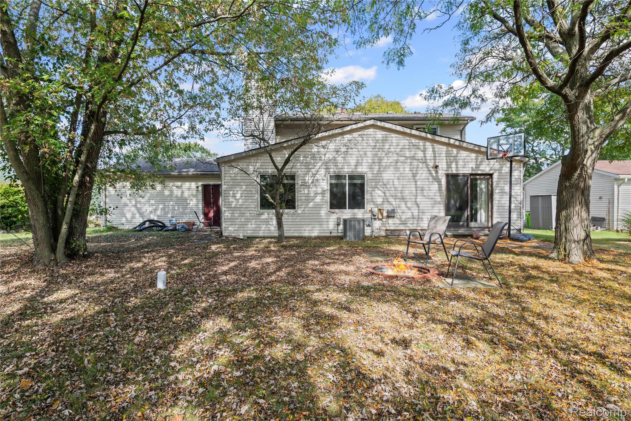 40209 Oak Tree