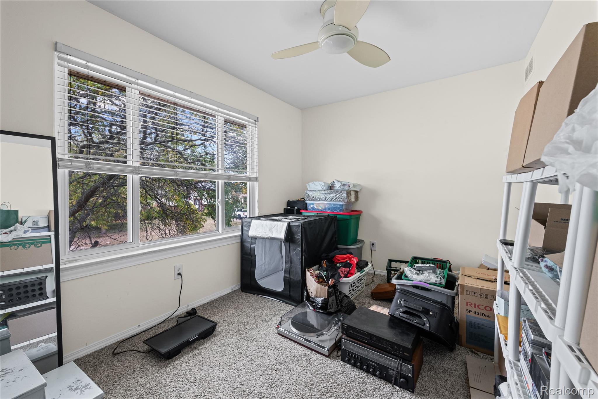 40209 Oak Tree