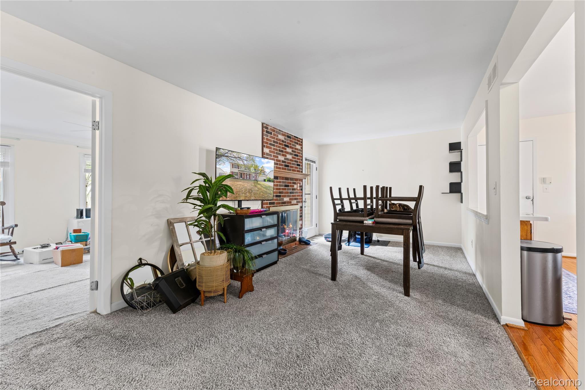 40209 Oak Tree