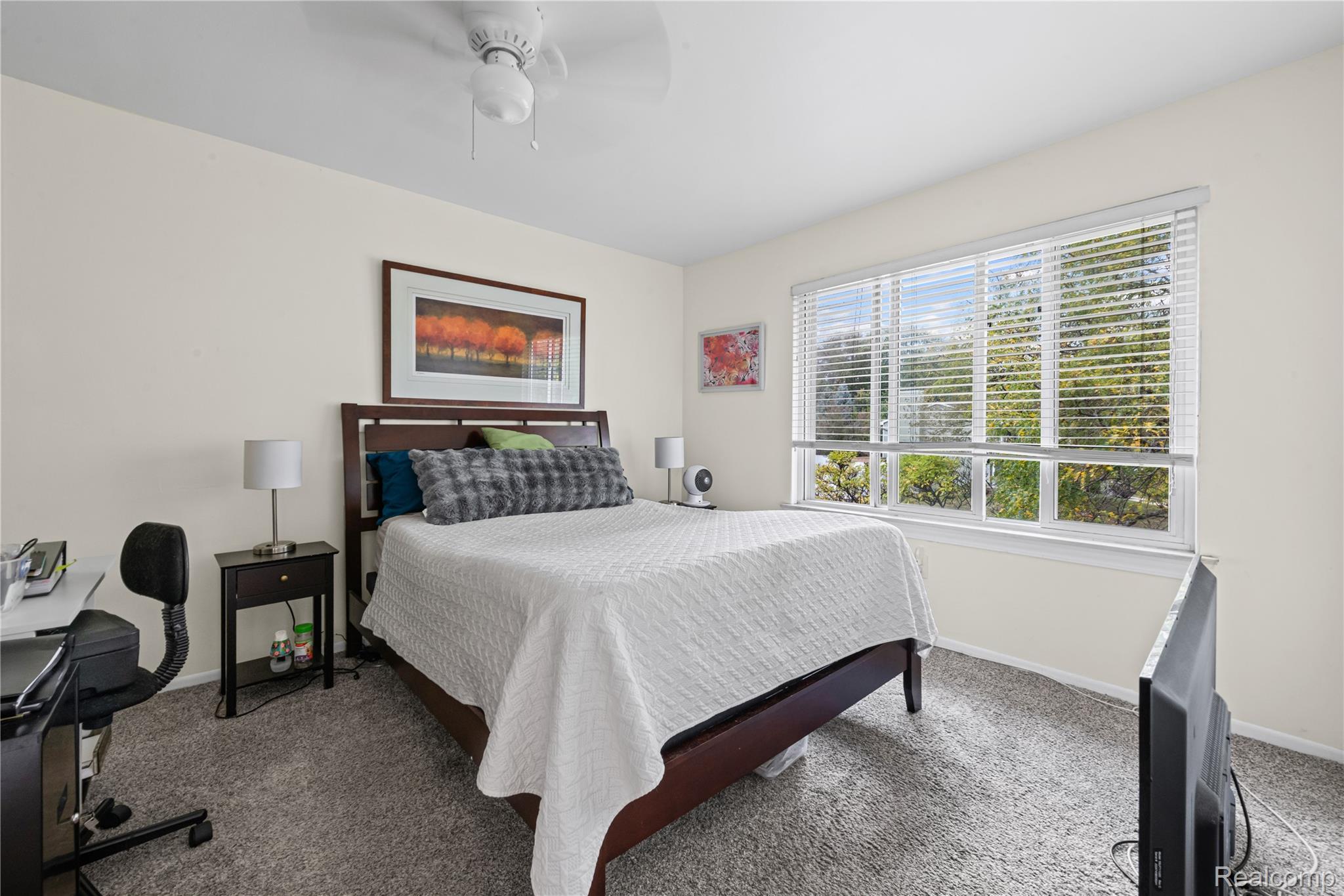 40209 Oak Tree