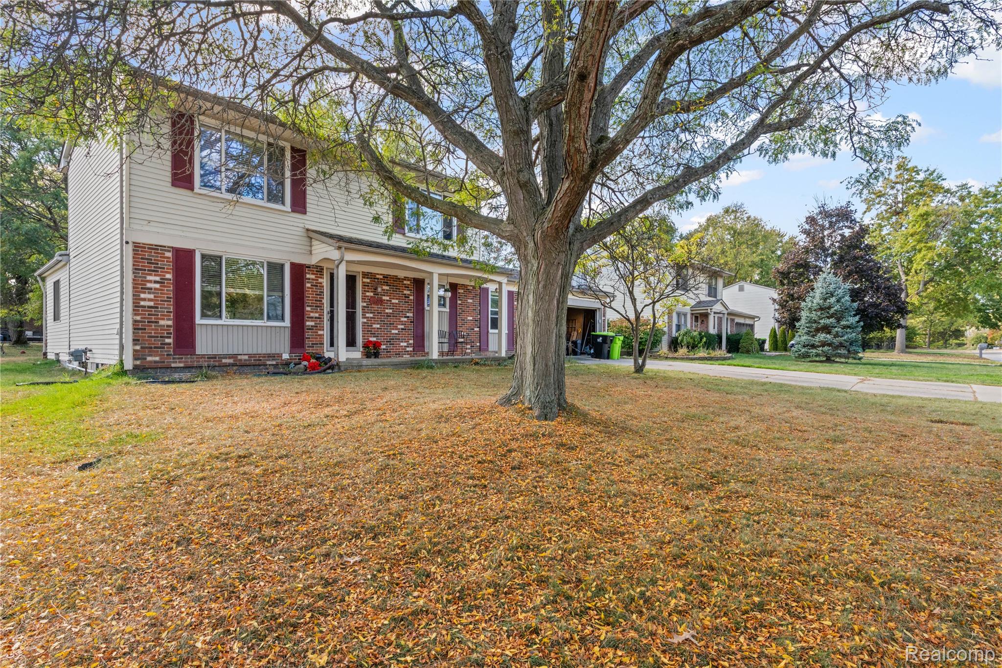 40209 Oak Tree
