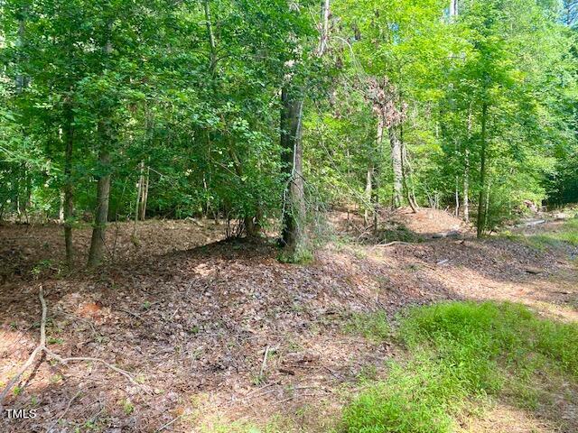 246 Deer Run