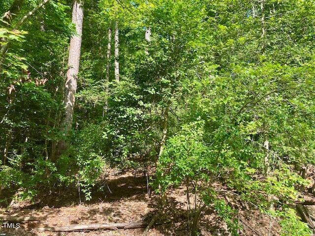 246 Deer Run