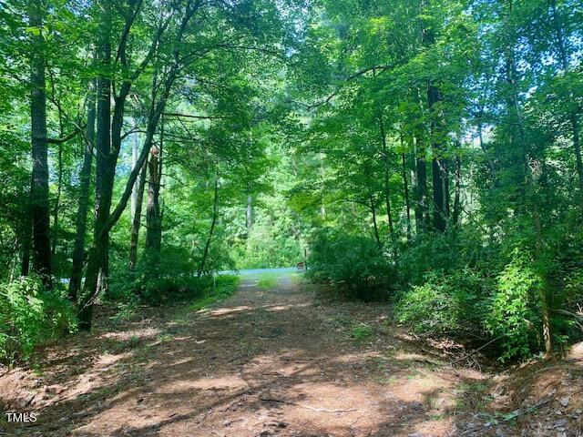 246 Deer Run