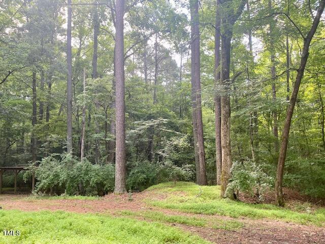 246 Deer Run