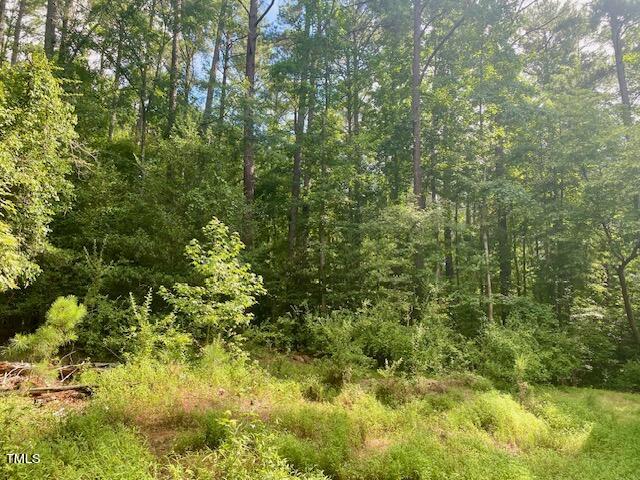 246 Deer Run