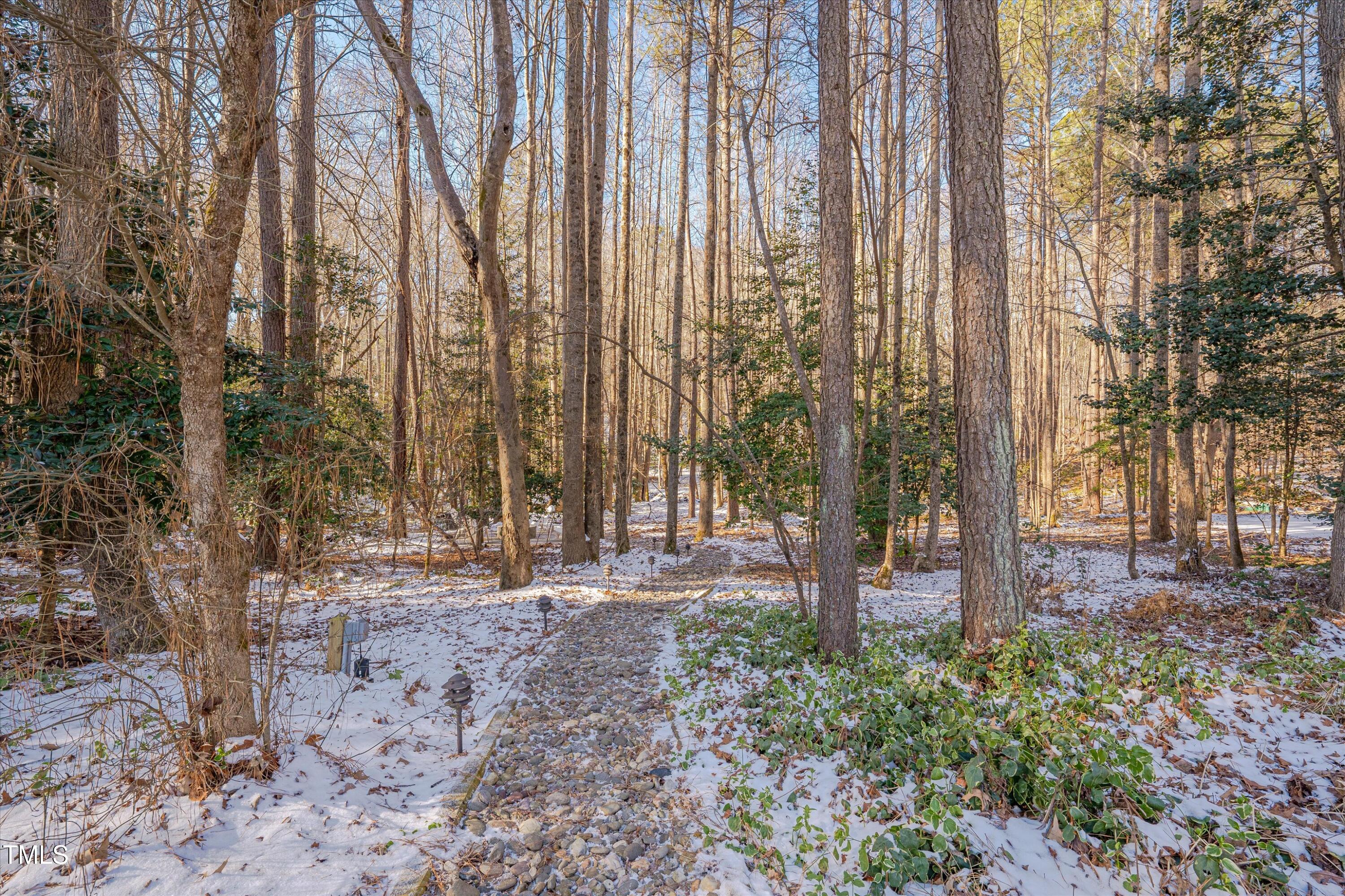659 Willard Drive