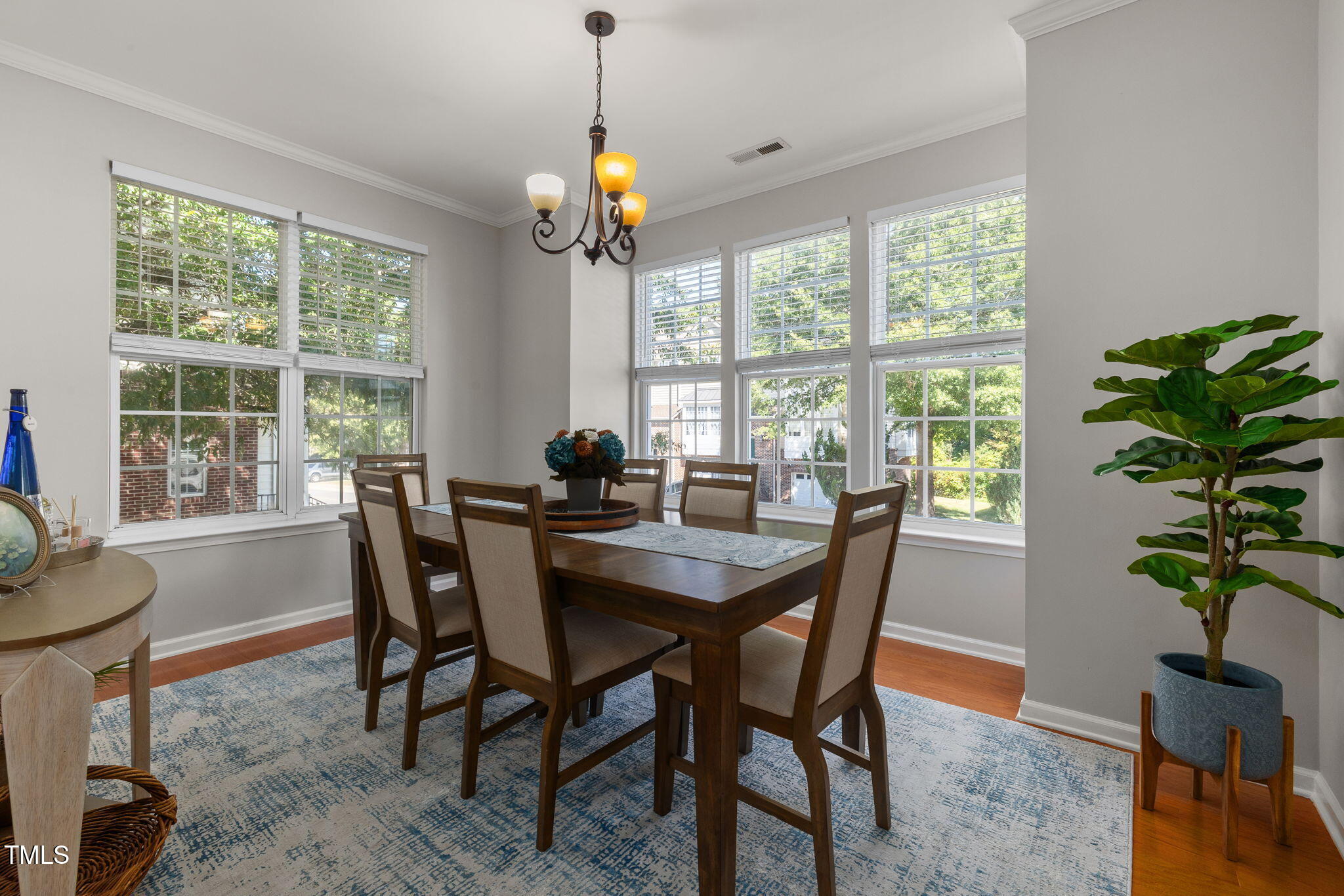 4513 Pale Moss Drive