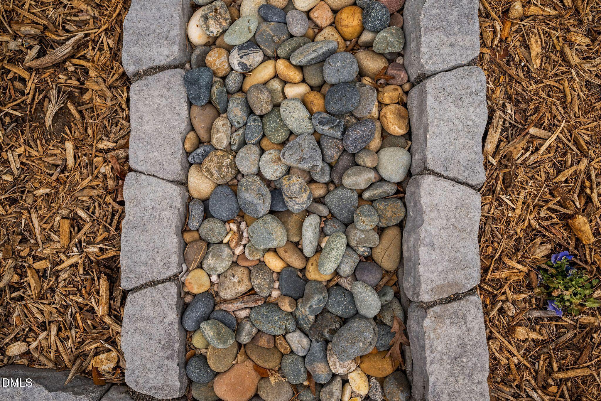 100 English Violet Lane