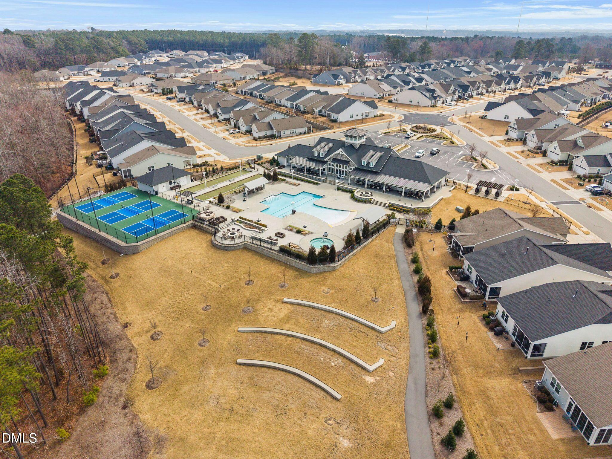 100 English Violet Lane