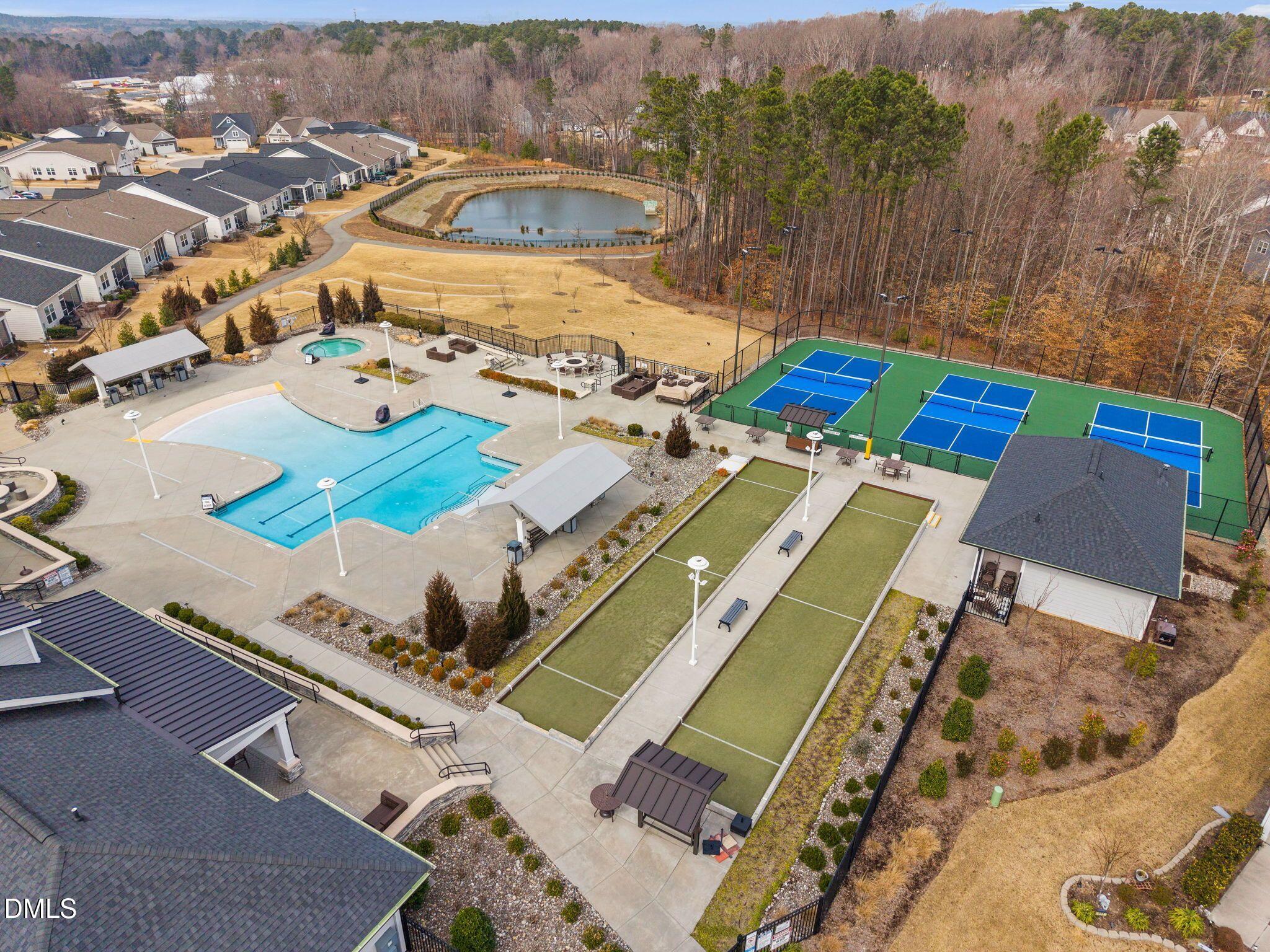 100 English Violet Lane