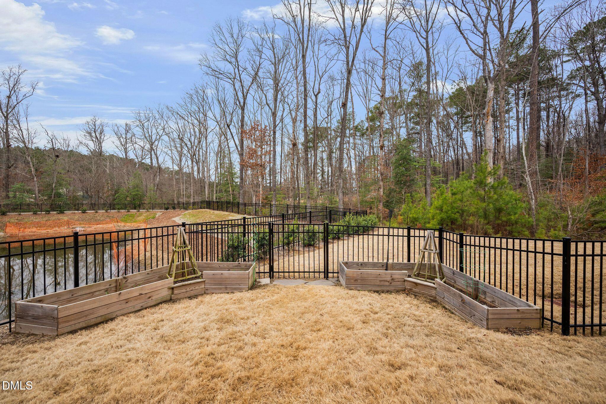 100 English Violet Lane