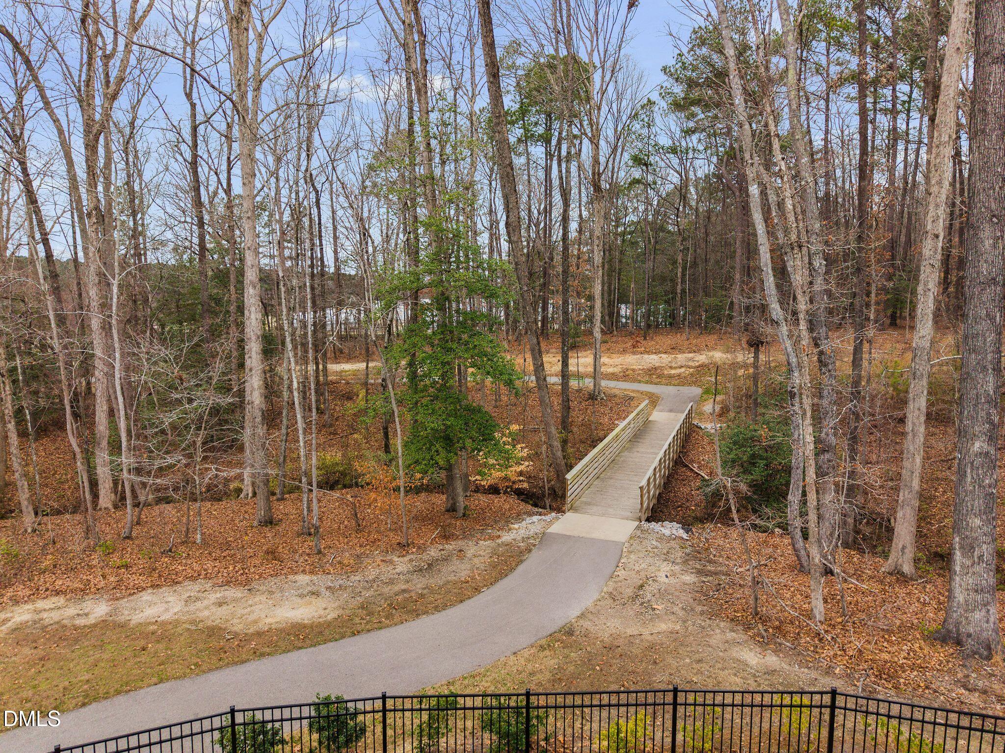 100 English Violet Lane