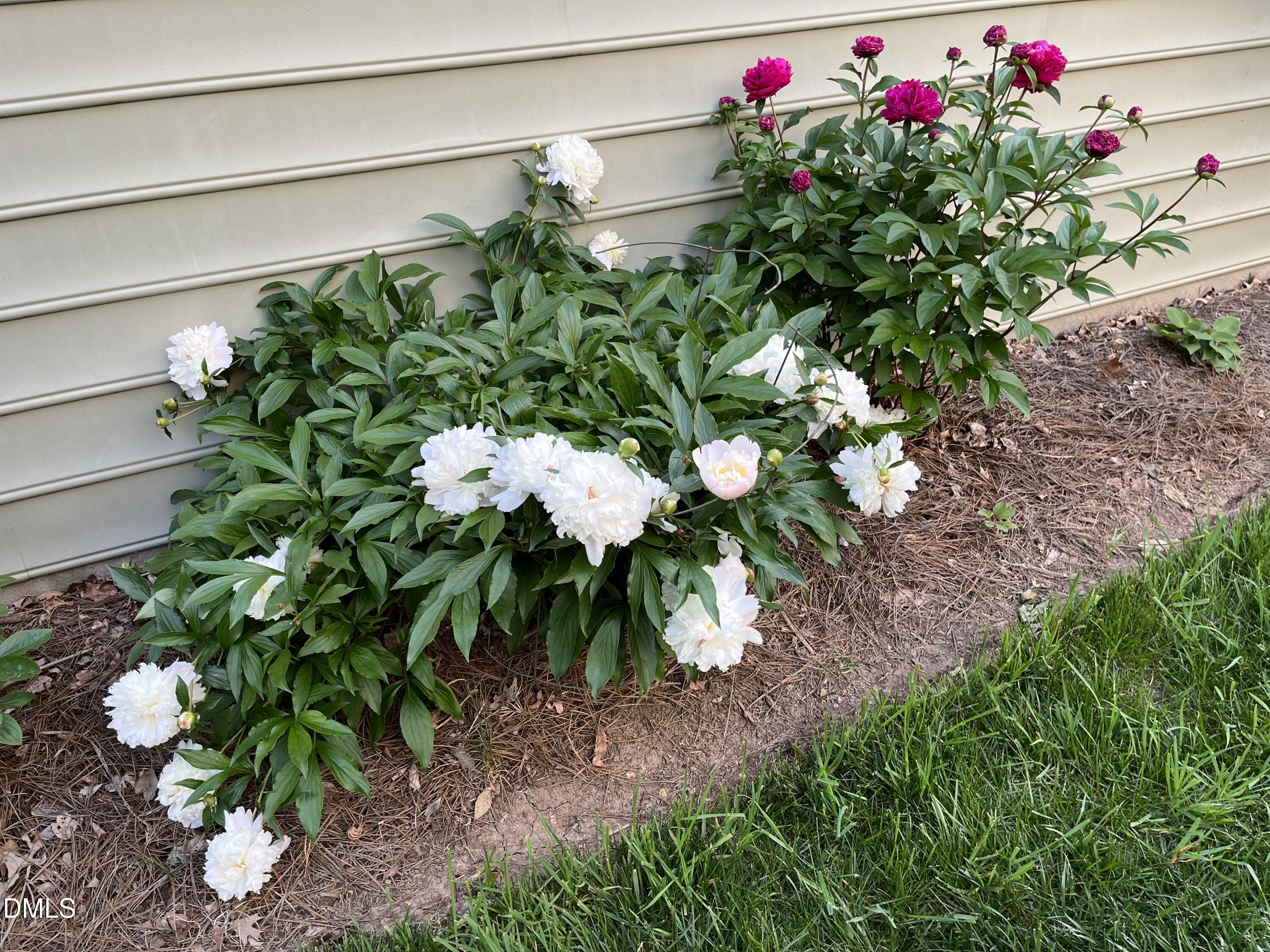 2103 Woodsdale Drive