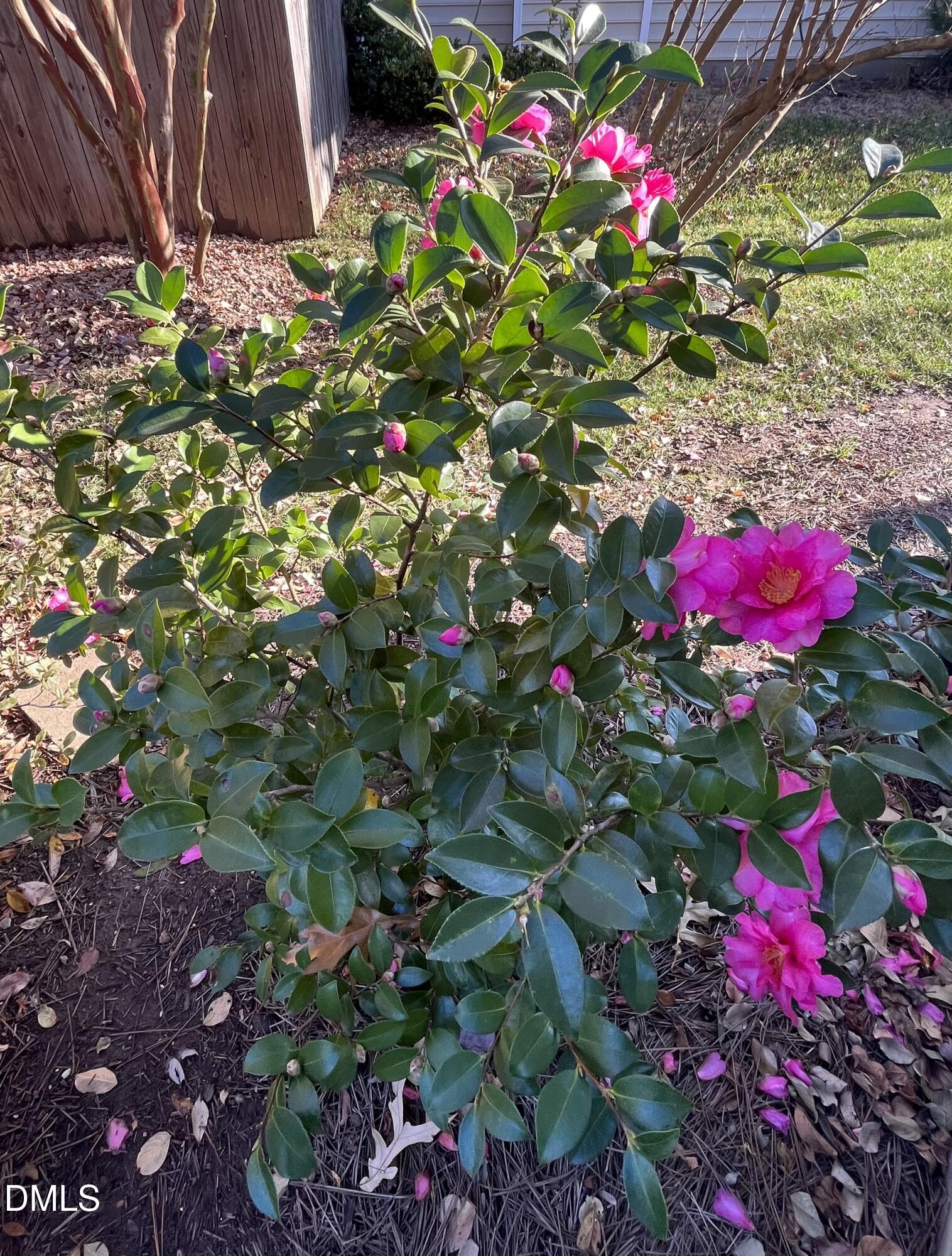 2103 Woodsdale Drive