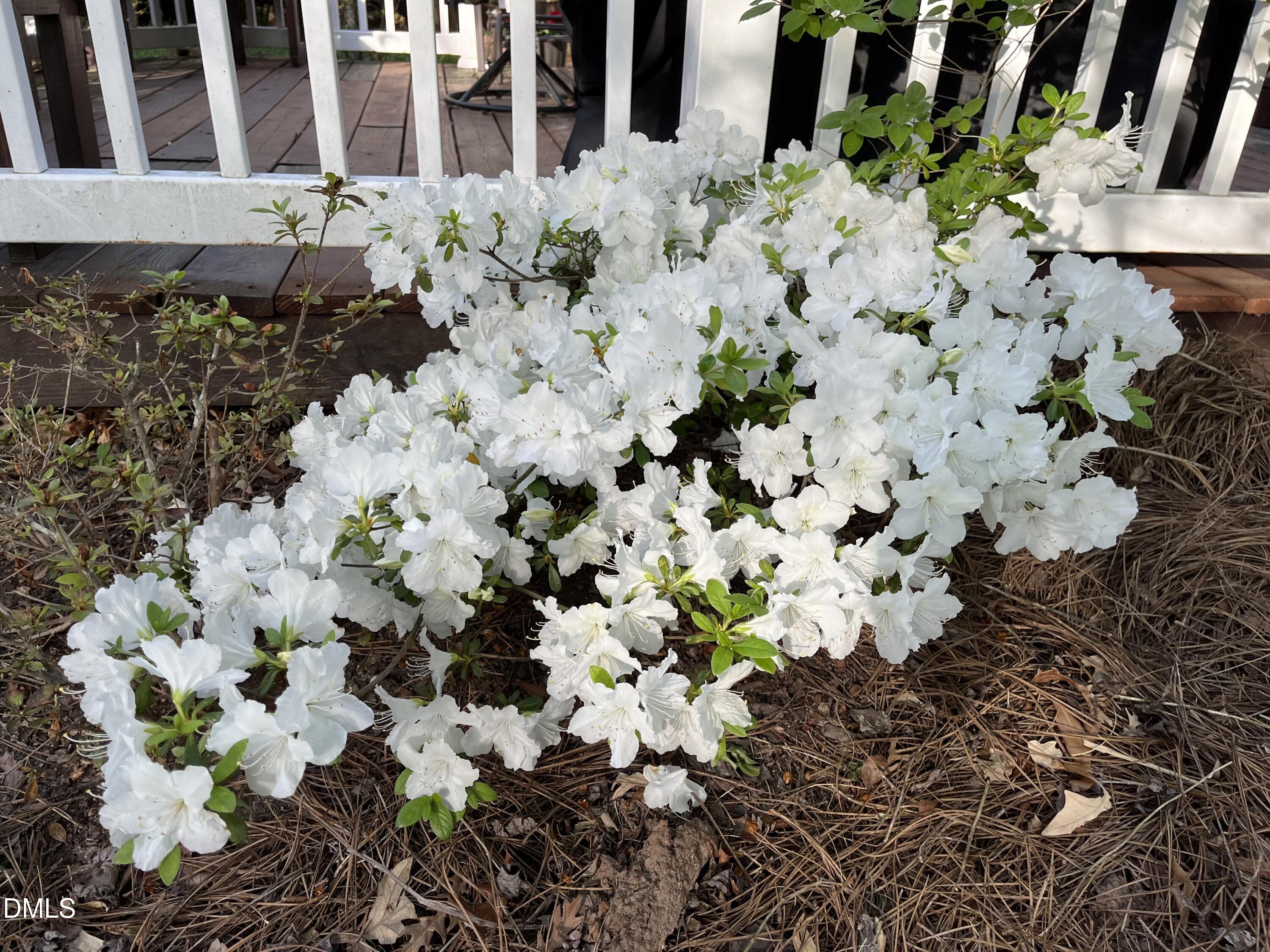 2103 Woodsdale Drive