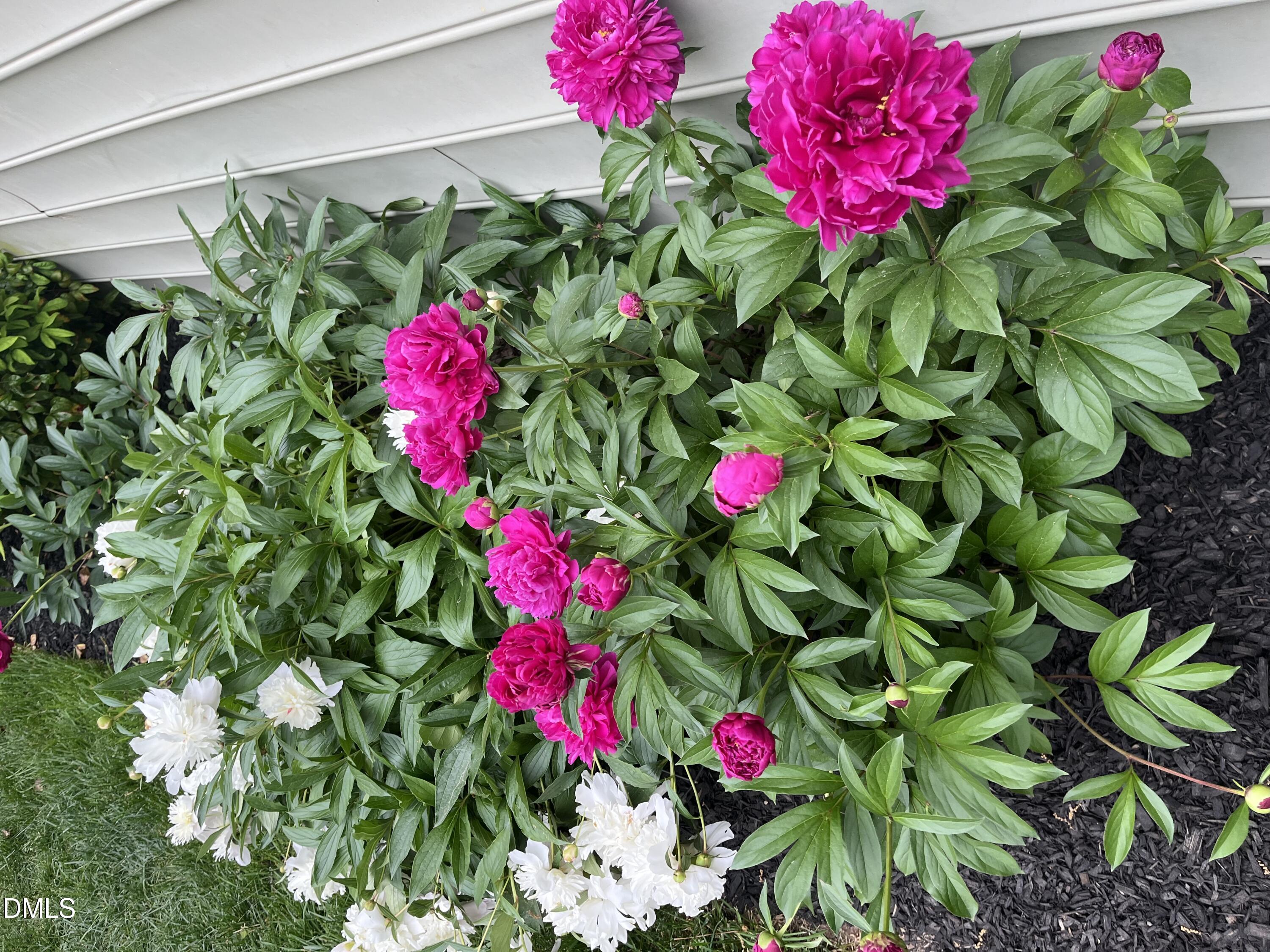 2103 Woodsdale Drive