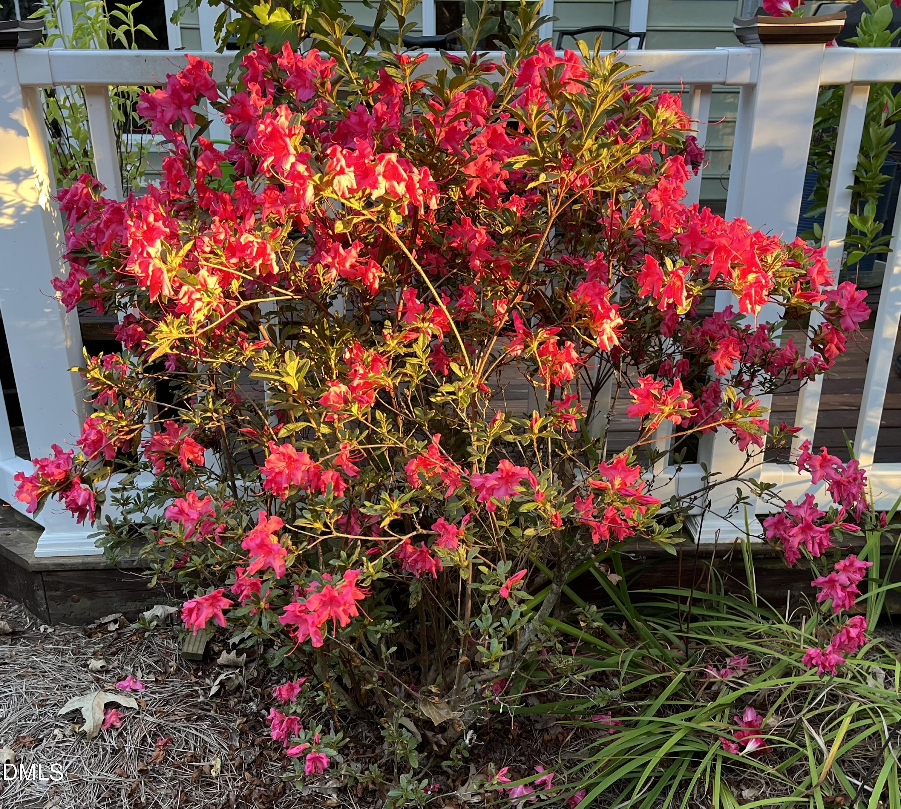 2103 Woodsdale Drive